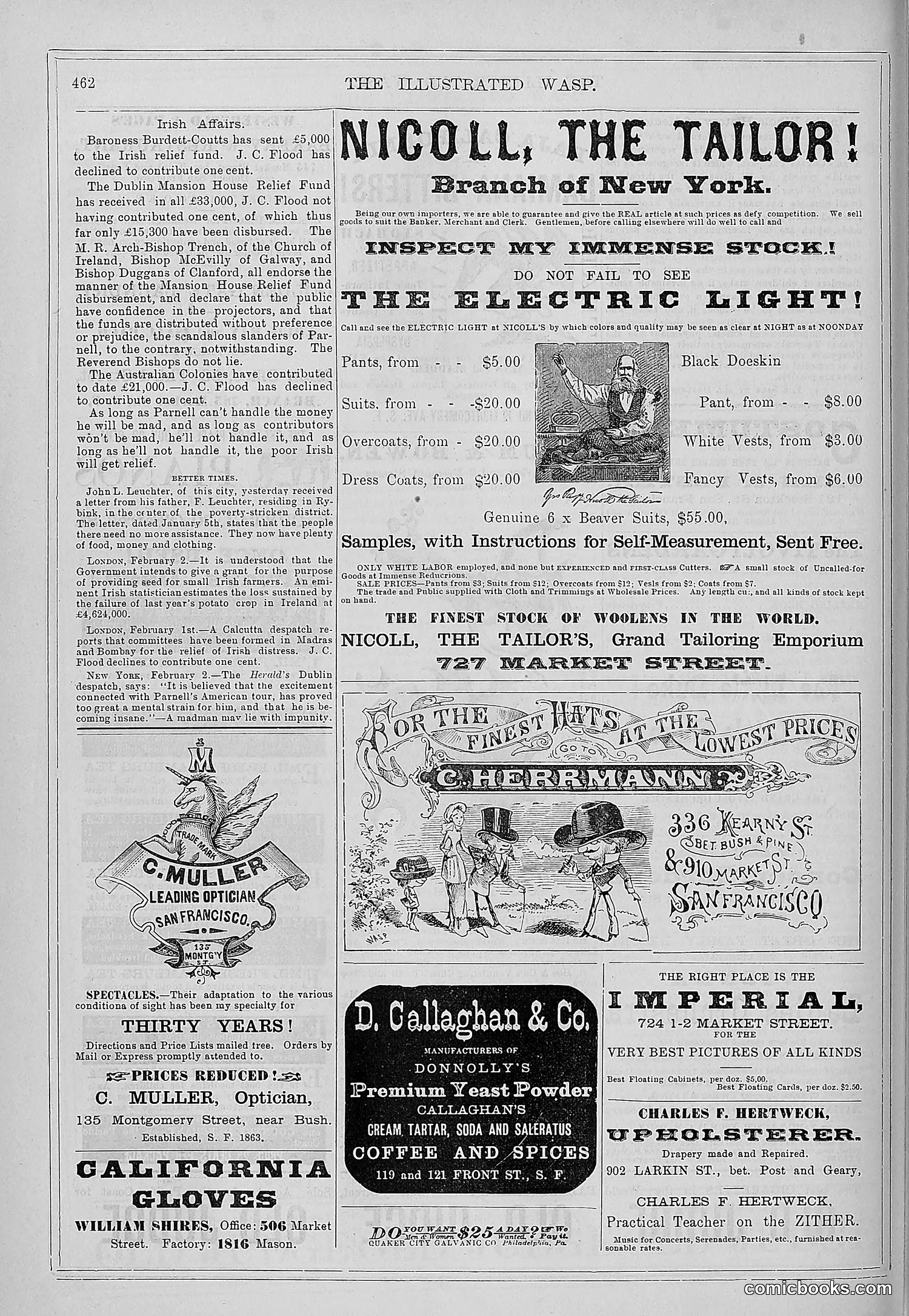 The Wasp — 1879 — page 439 of 846