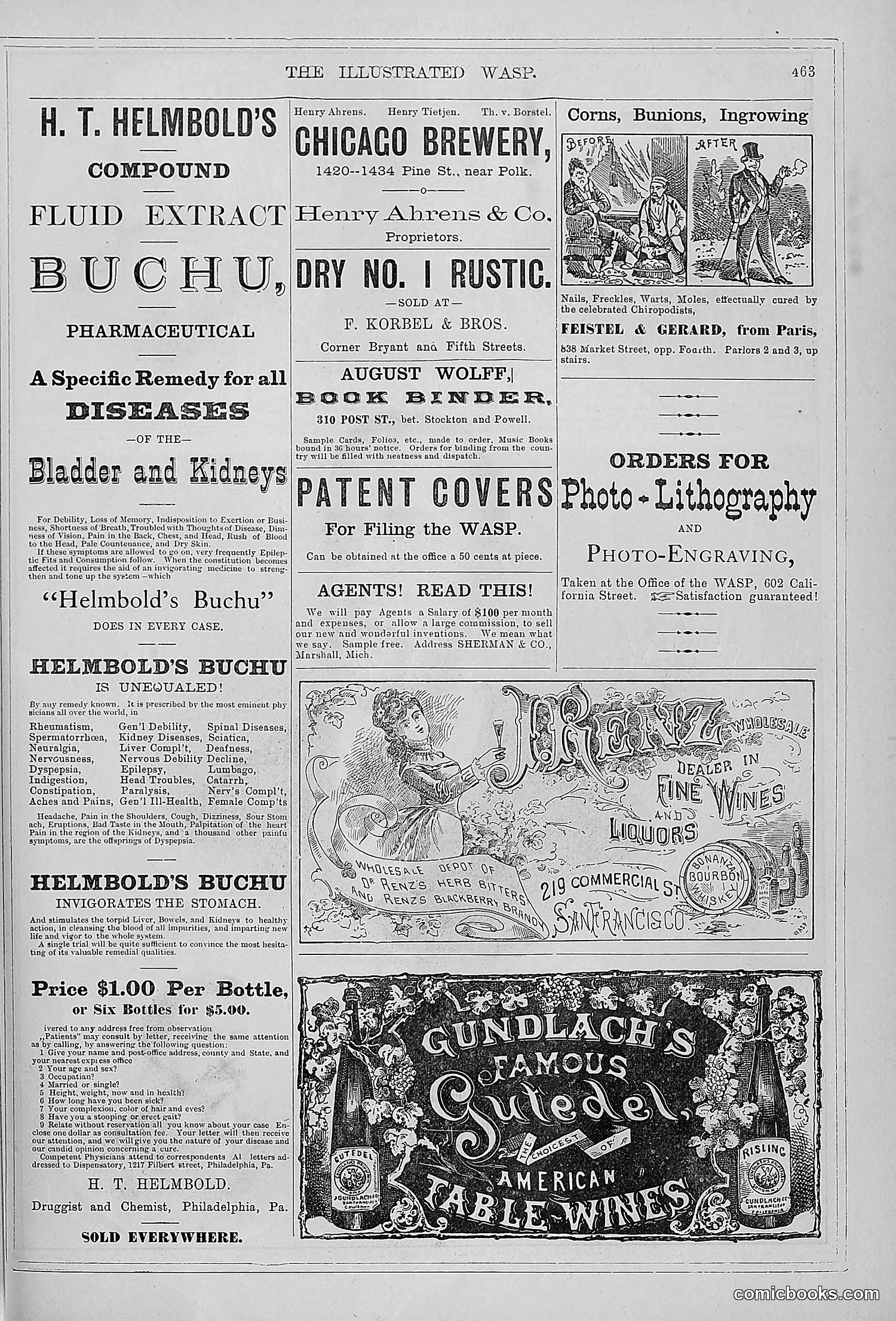 The Wasp — 1879 — page 440 of 846