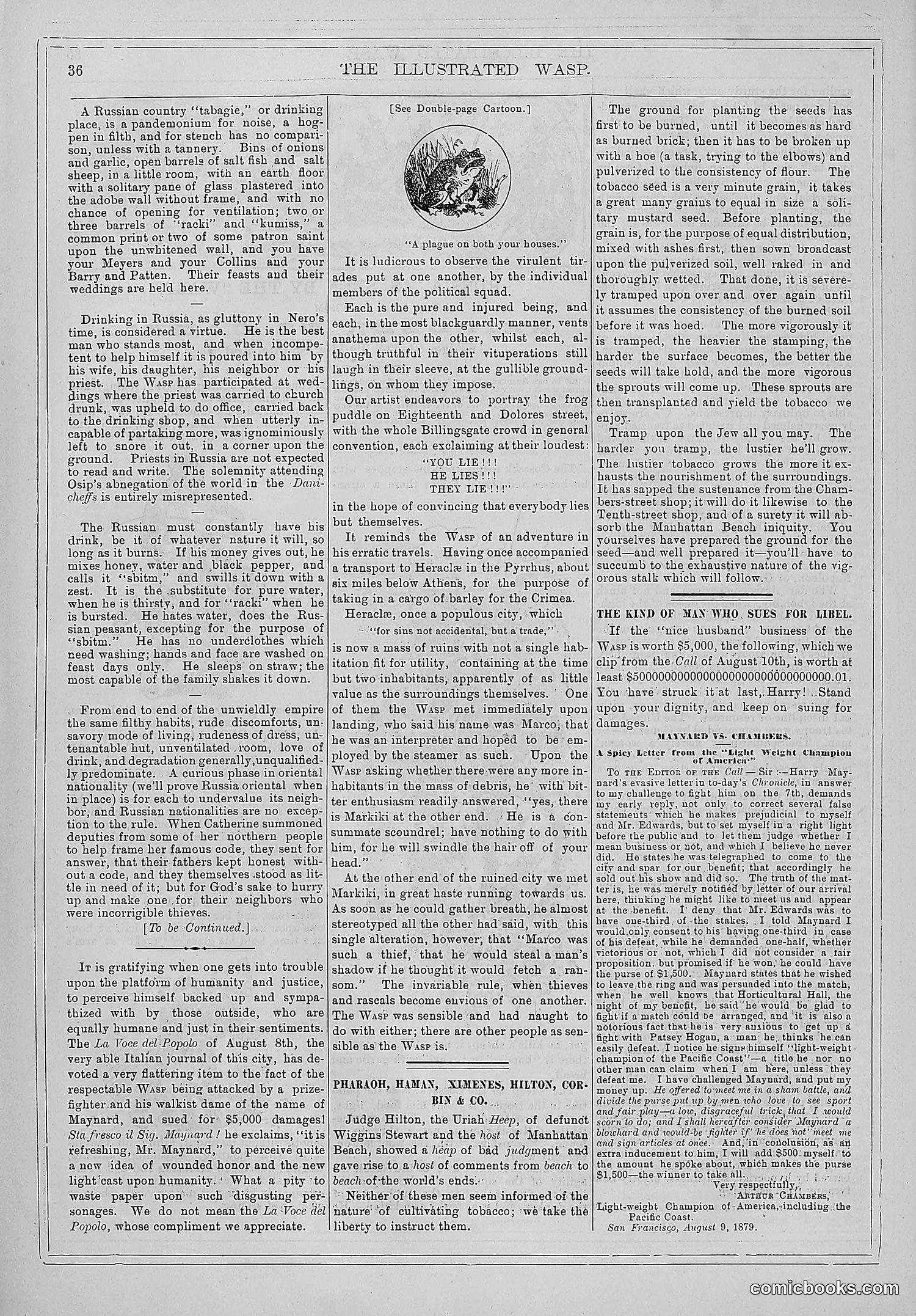 The Wasp — 1879 — page 45 of 846