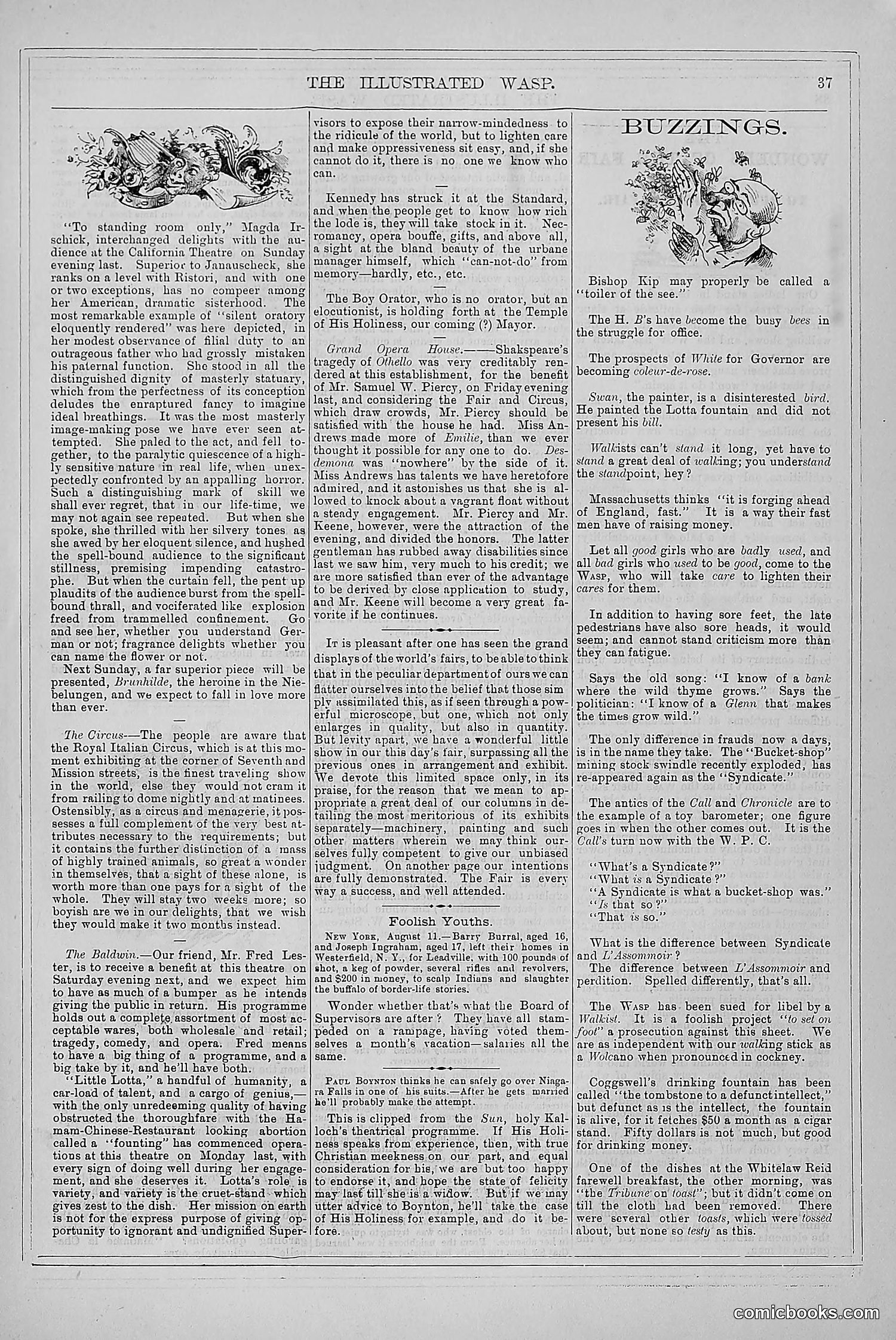 The Wasp — 1879 — page 46 of 846