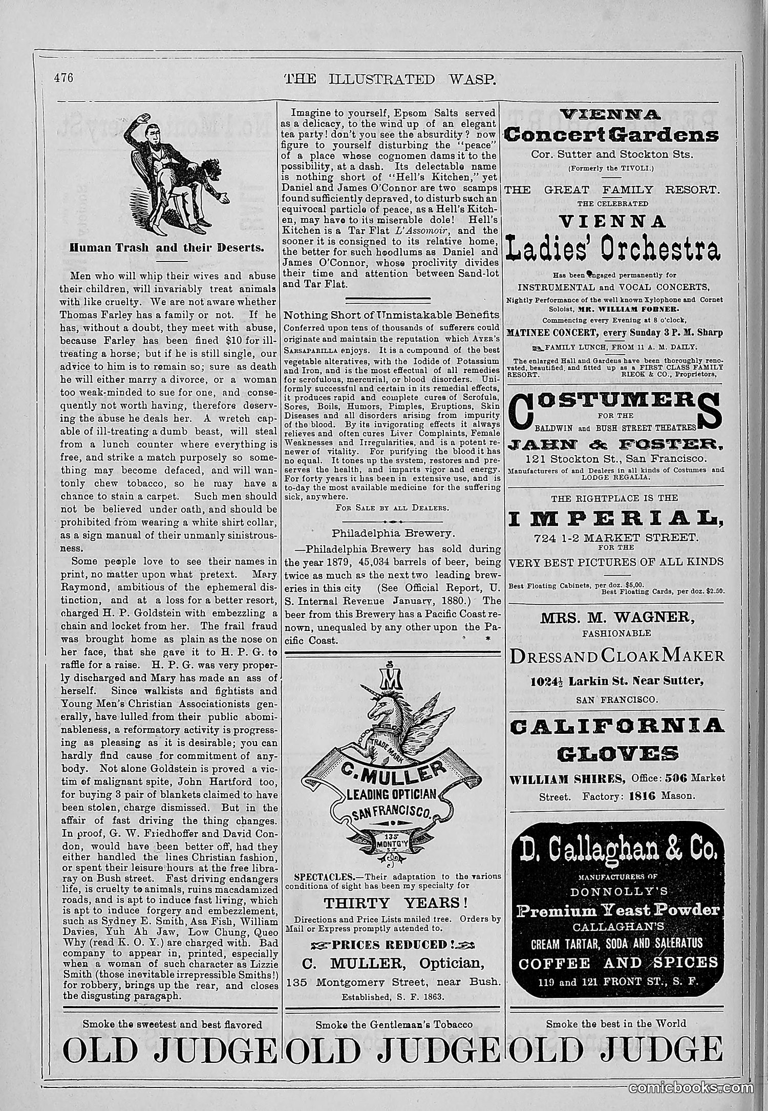 The Wasp — 1879 — page 455 of 846