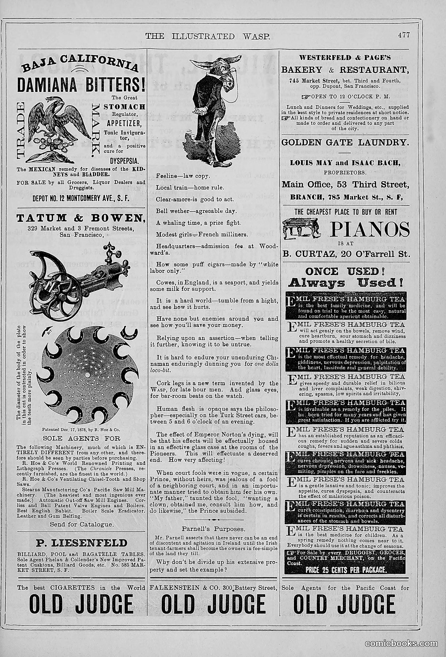 The Wasp — 1879 — page 456 of 846