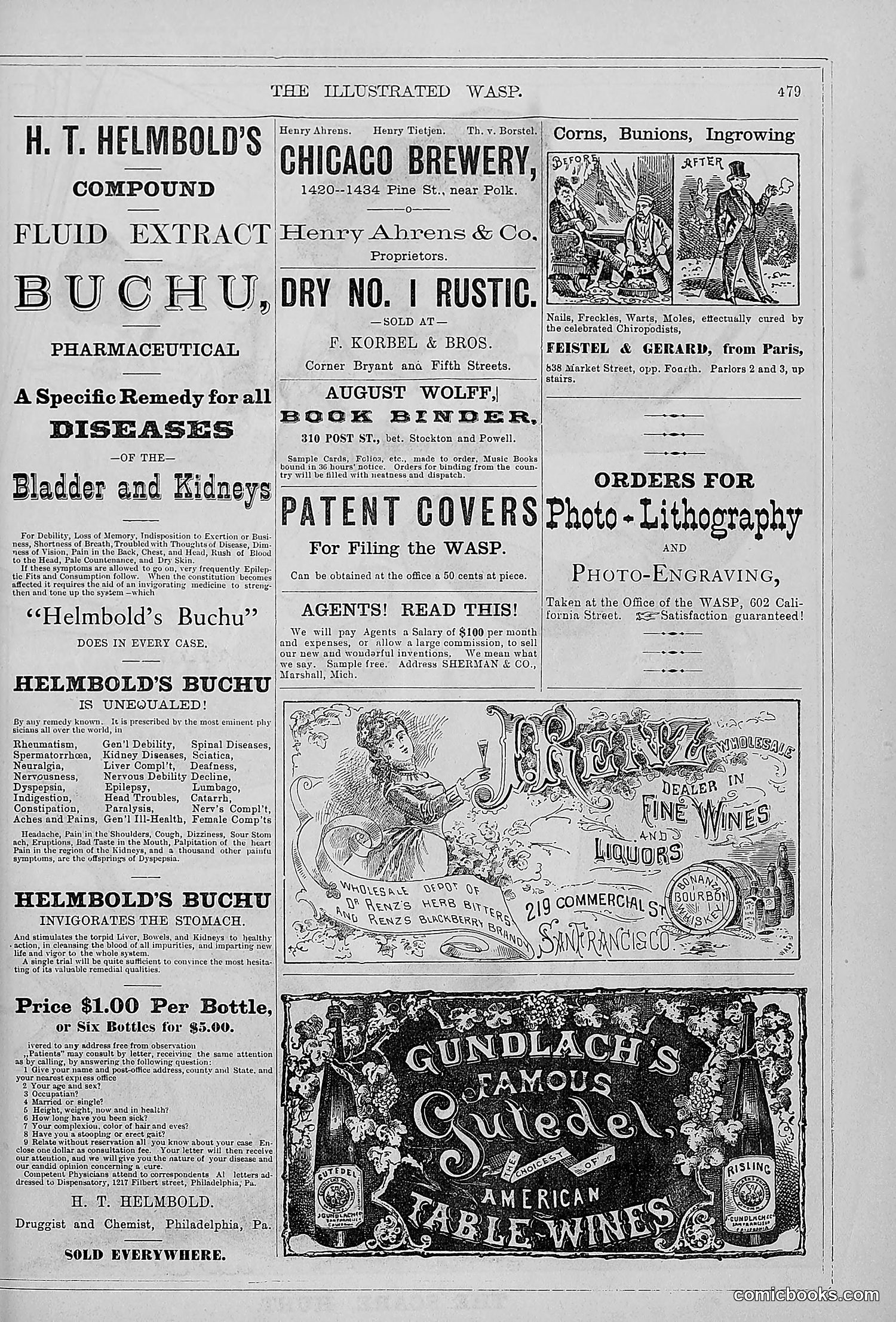 The Wasp — 1879 — page 458 of 846