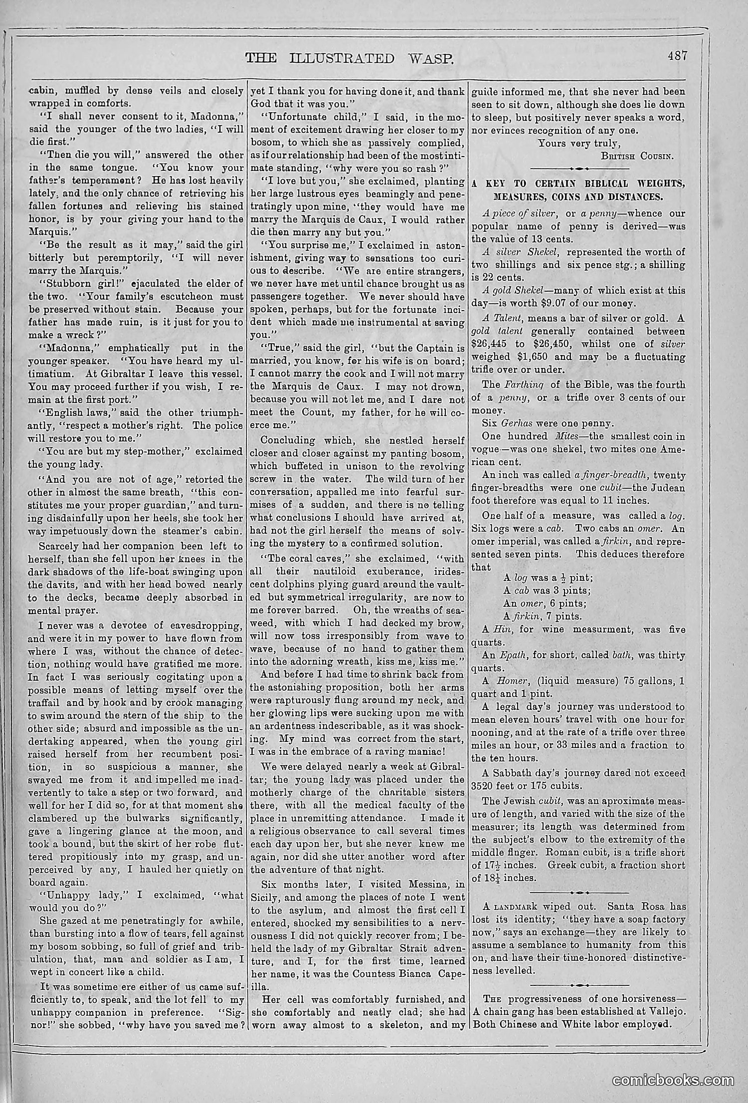 The Wasp — 1879 — page 466 of 846