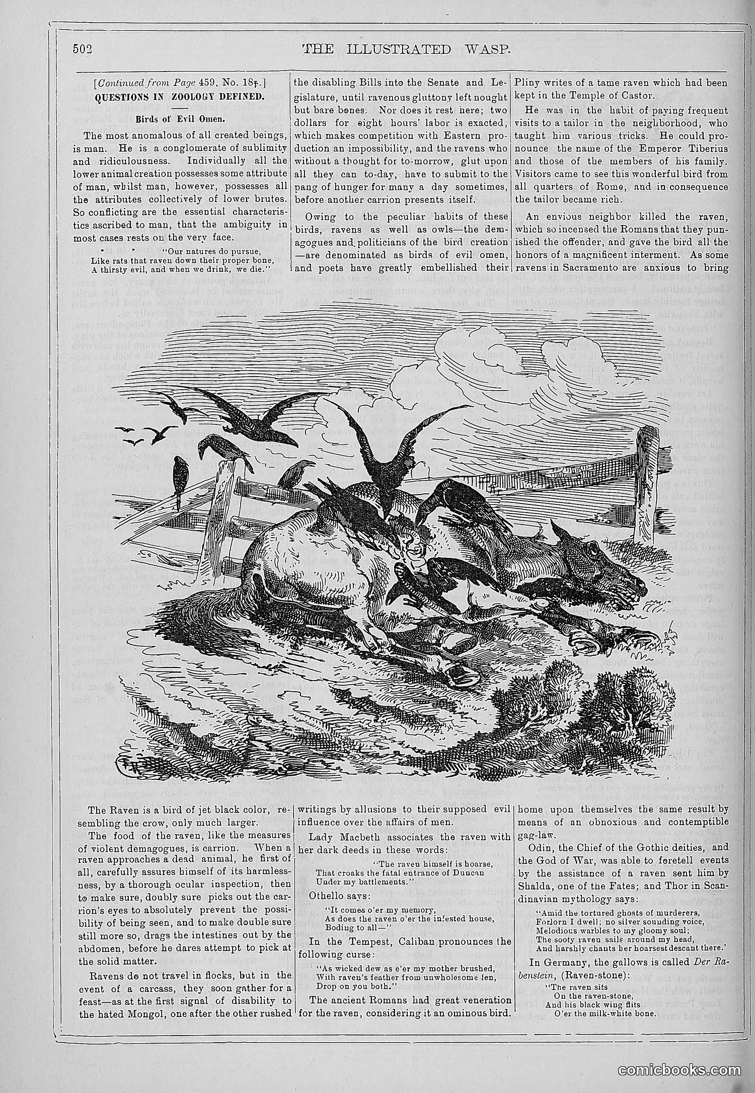 The Wasp — 1879 — page 481 of 846