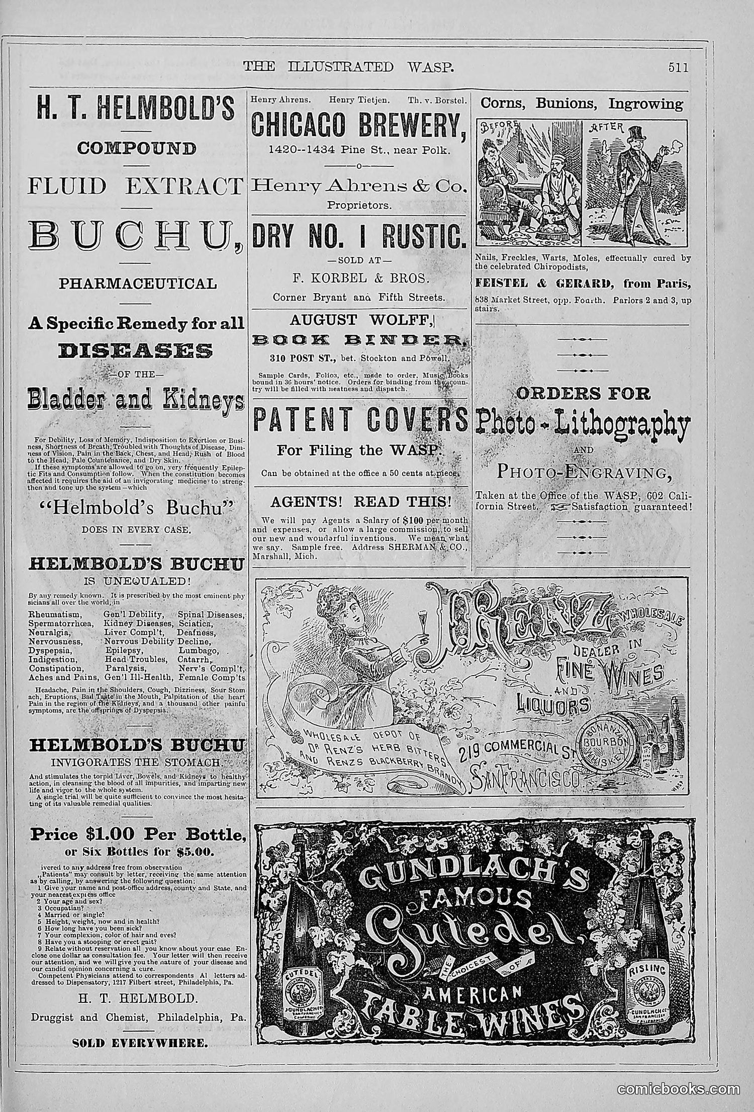 The Wasp — 1879 — page 490 of 846