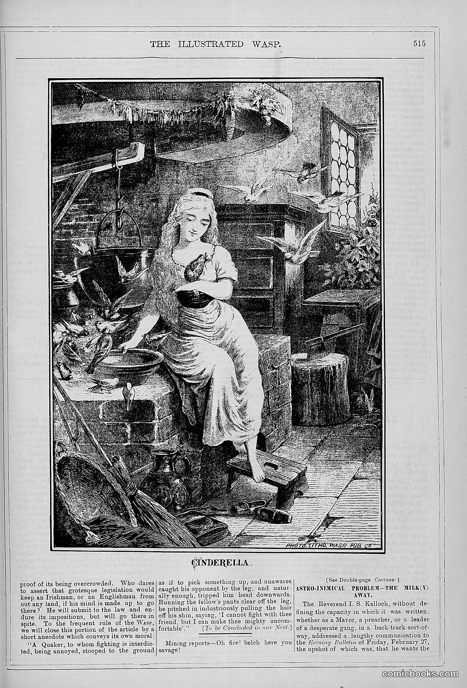 The Wasp — 1879 — page 494 of 846