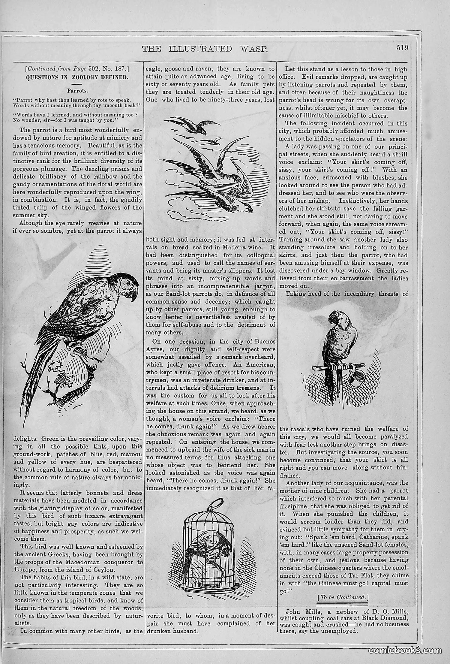 The Wasp — 1879 — page 498 of 846