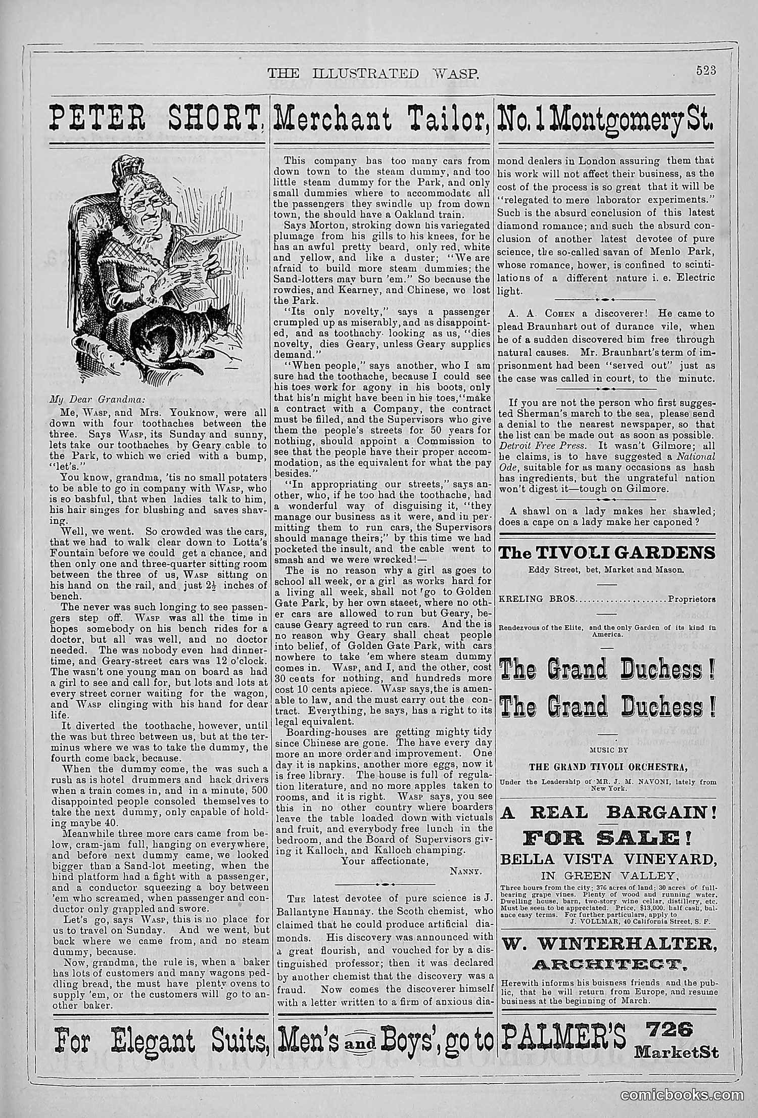 The Wasp — 1879 — page 502 of 846