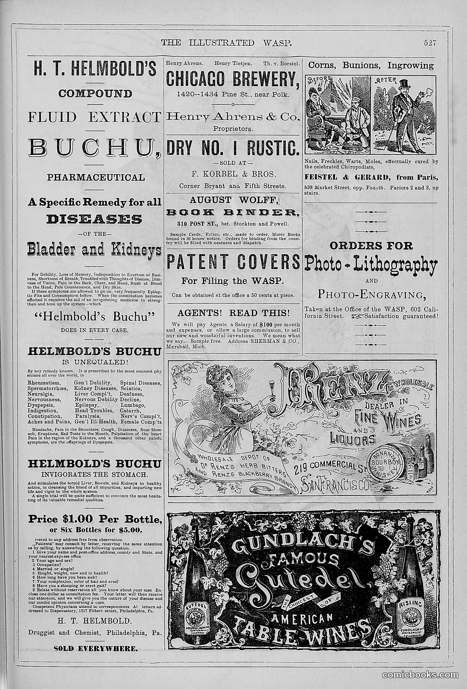 The Wasp — 1879 — page 506 of 846