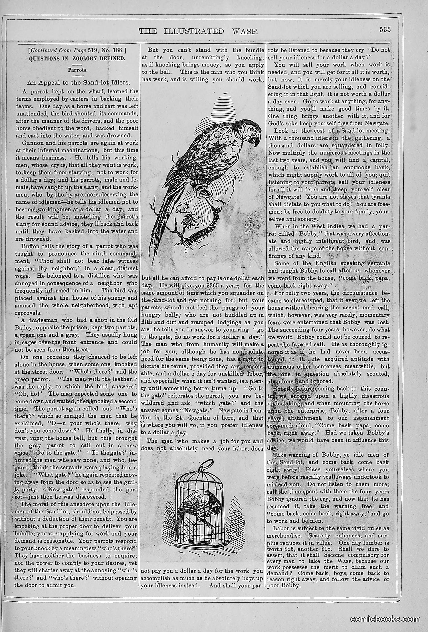 The Wasp — 1879 — page 514 of 846