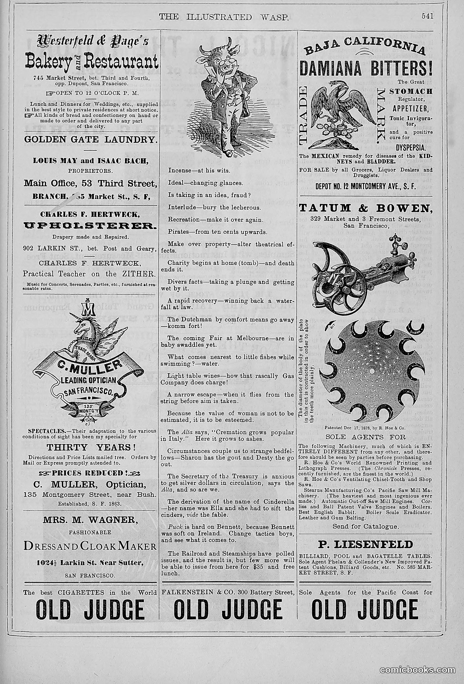 The Wasp — 1879 — page 520 of 846