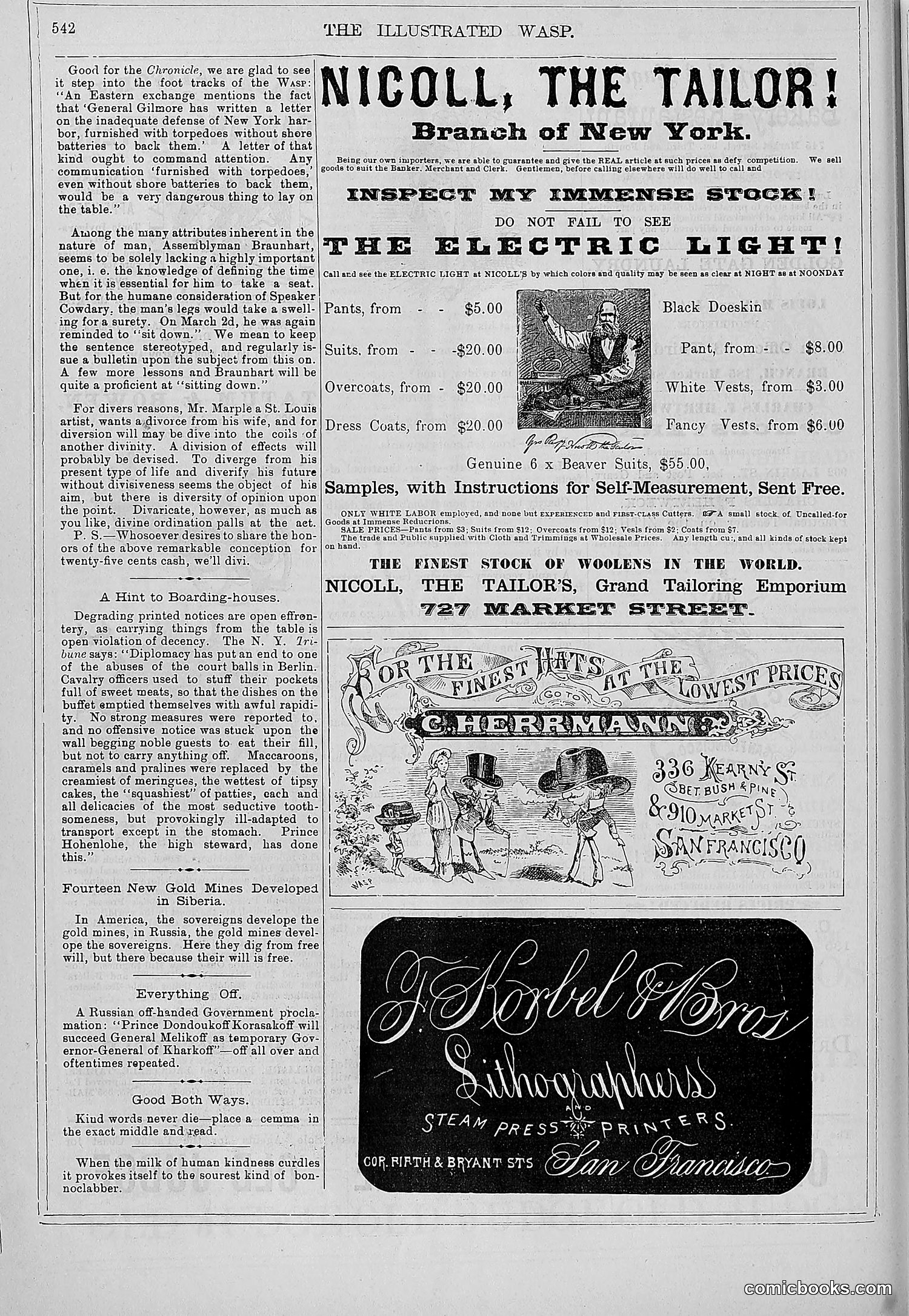 The Wasp — 1879 — page 521 of 846