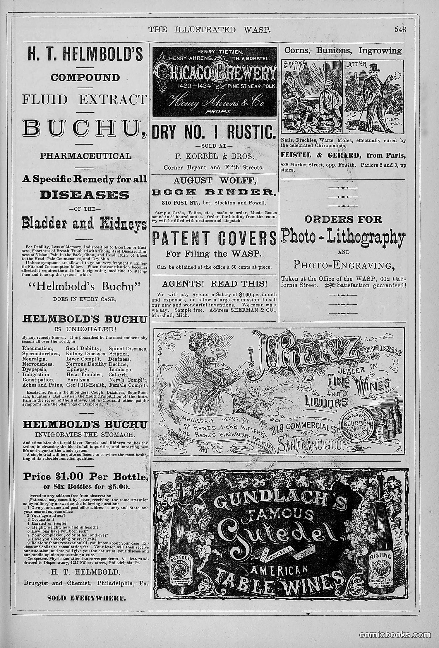 The Wasp — 1879 — page 522 of 846