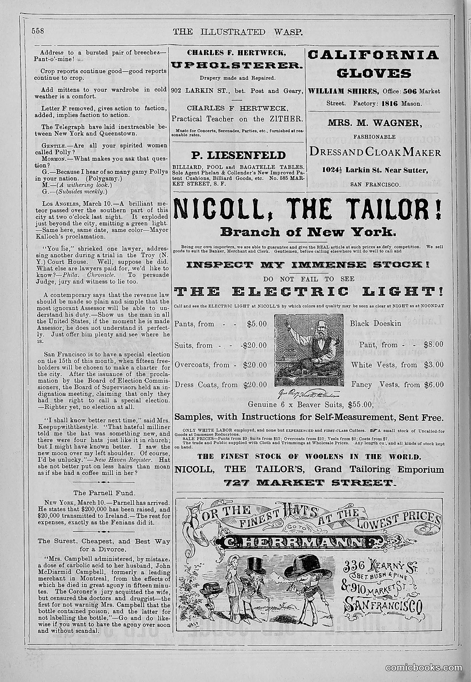 The Wasp — 1879 — page 537 of 846
