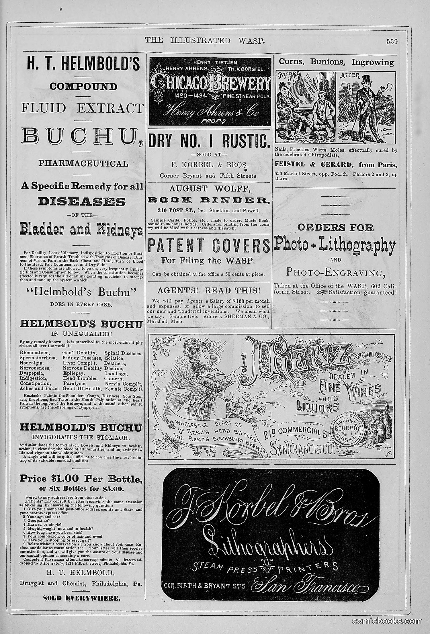 The Wasp — 1879 — page 538 of 846