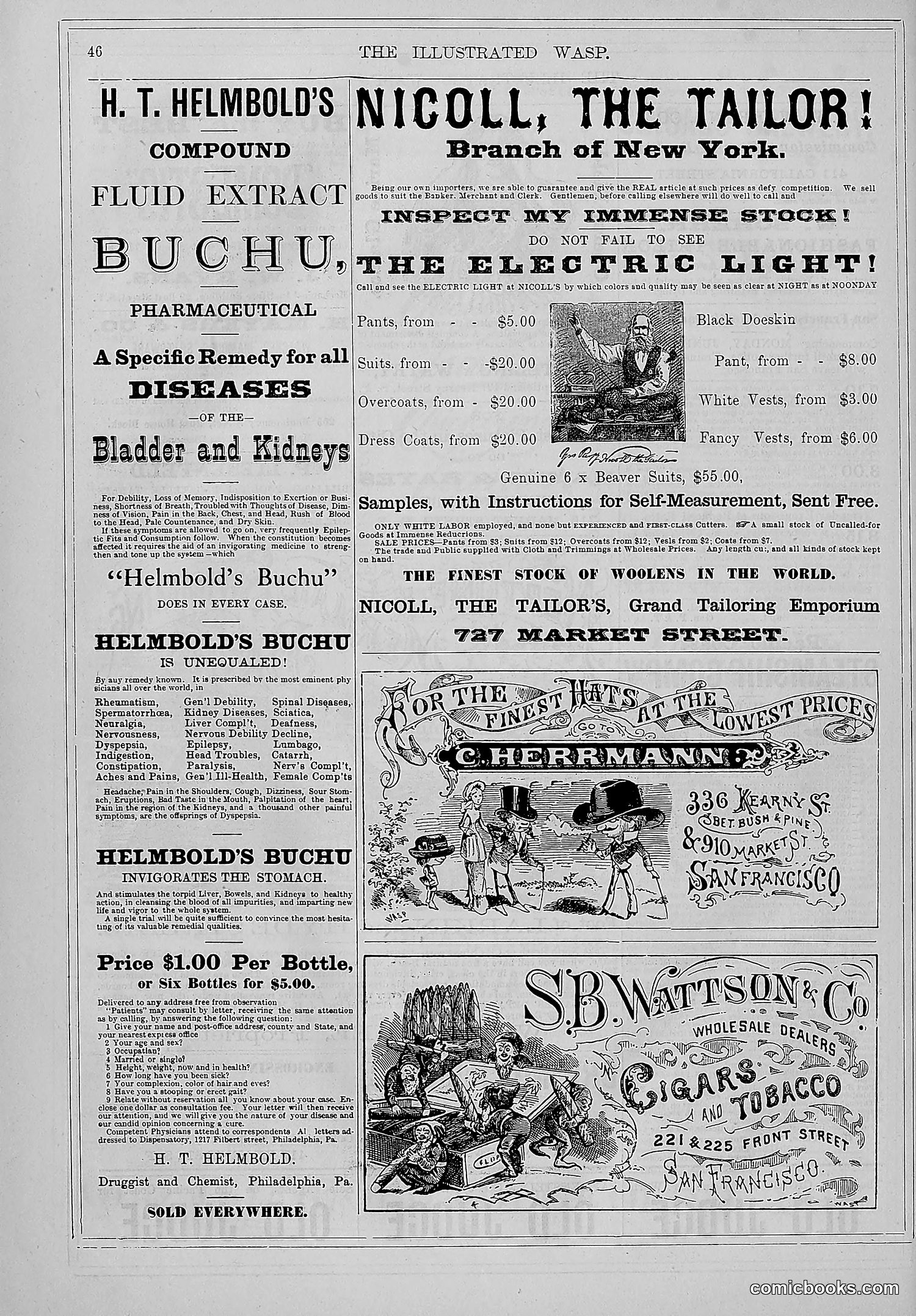 The Wasp — 1879 — page 55 of 846