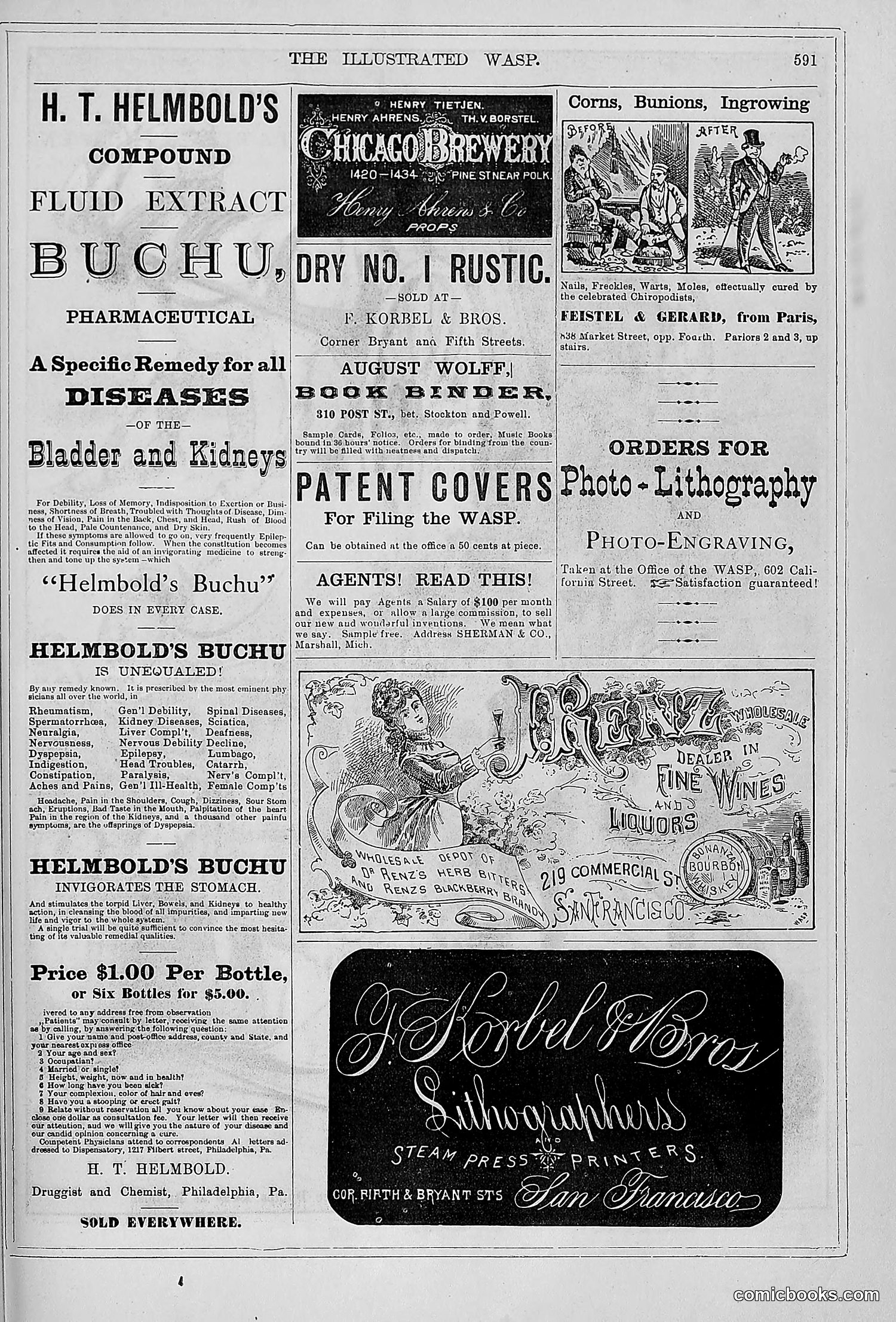 The Wasp — 1879 — page 570 of 846