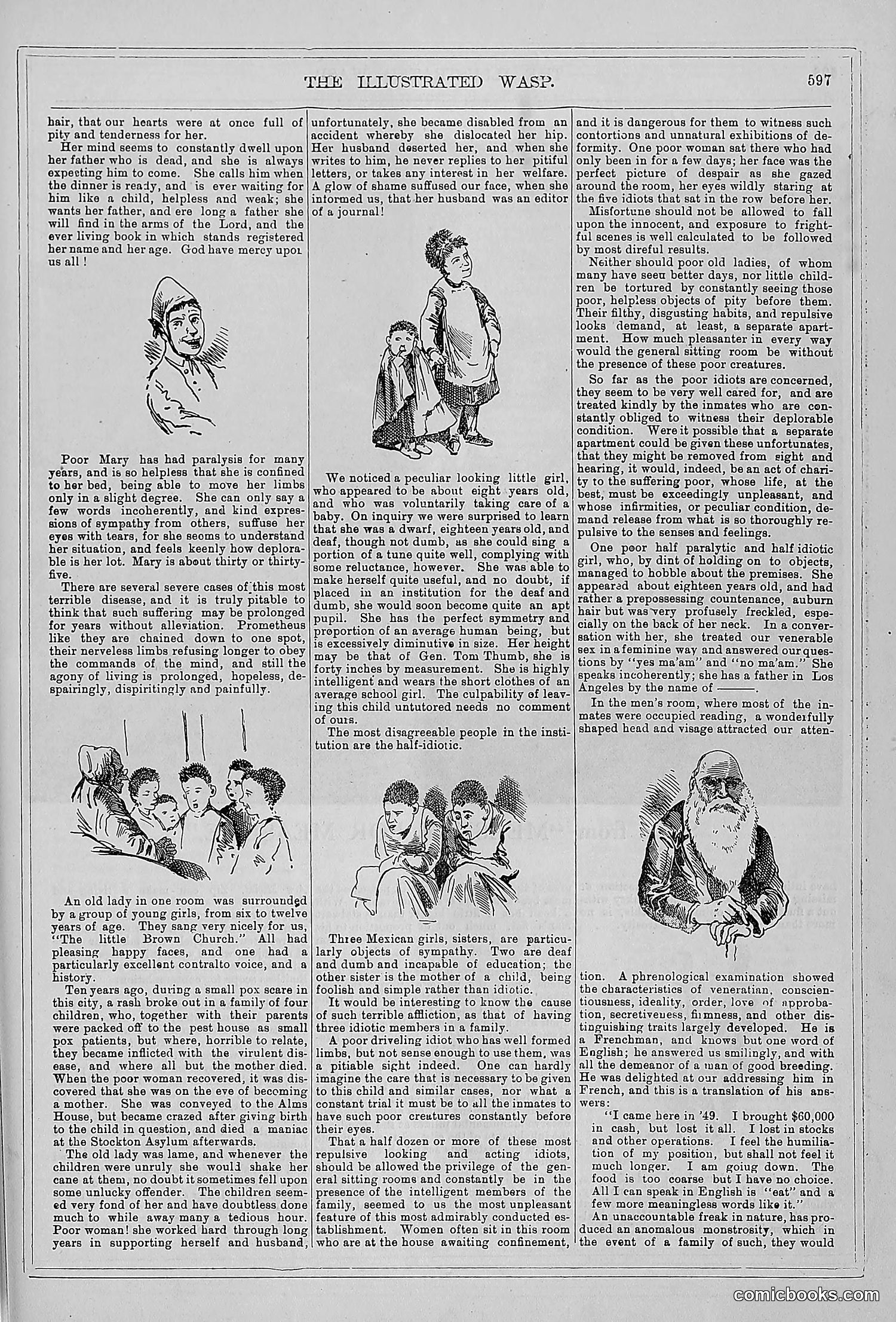 The Wasp — 1879 — page 576 of 846