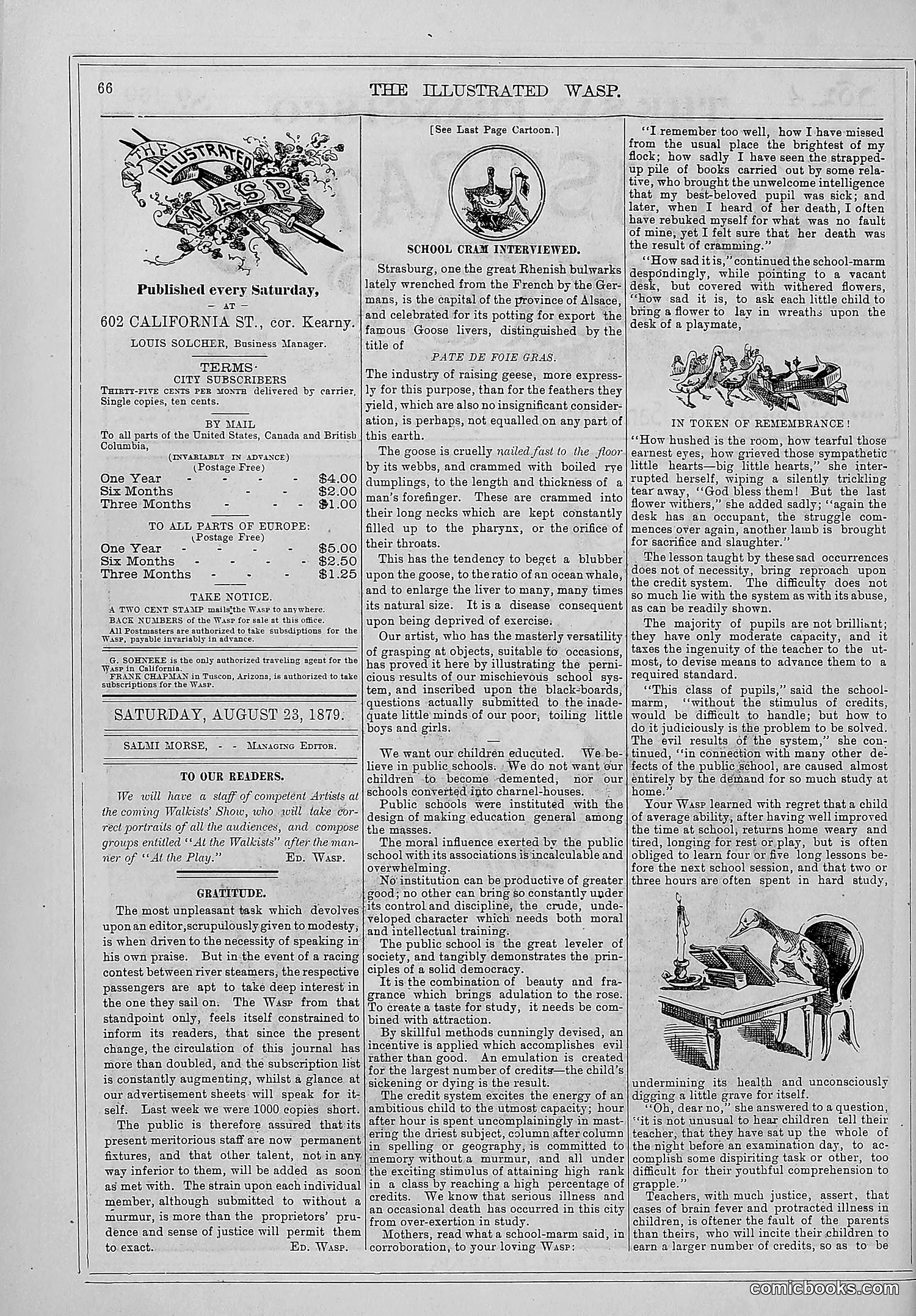 The Wasp — 1879 — page 59 of 846