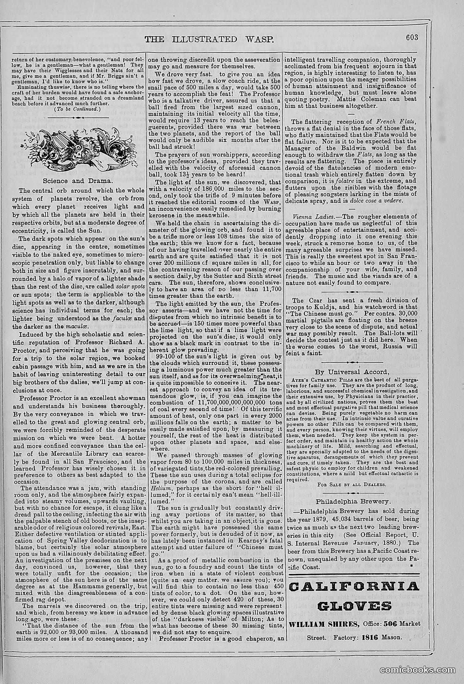 The Wasp — 1879 — page 582 of 846