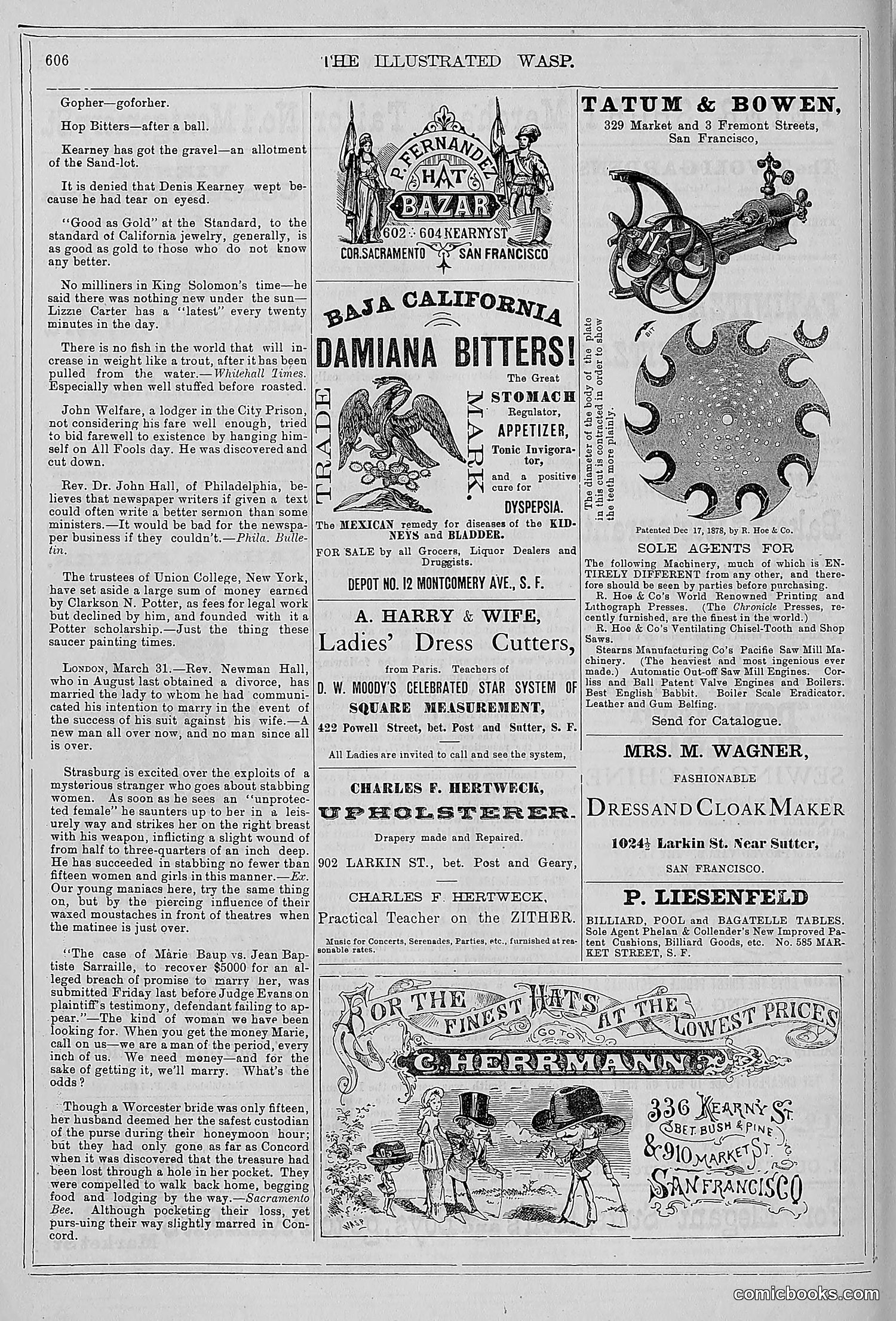 The Wasp — 1879 — page 585 of 846
