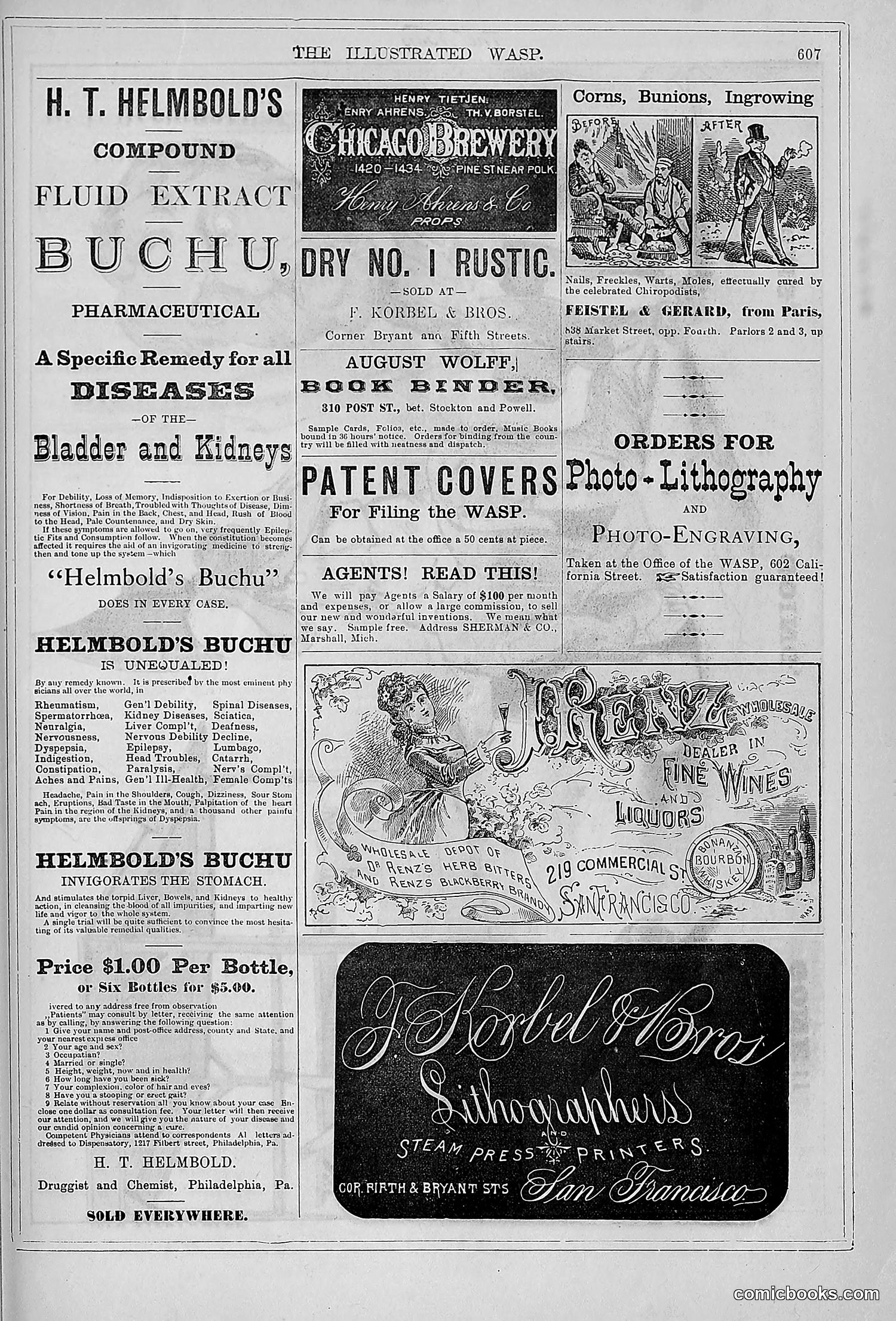 The Wasp — 1879 — page 586 of 846