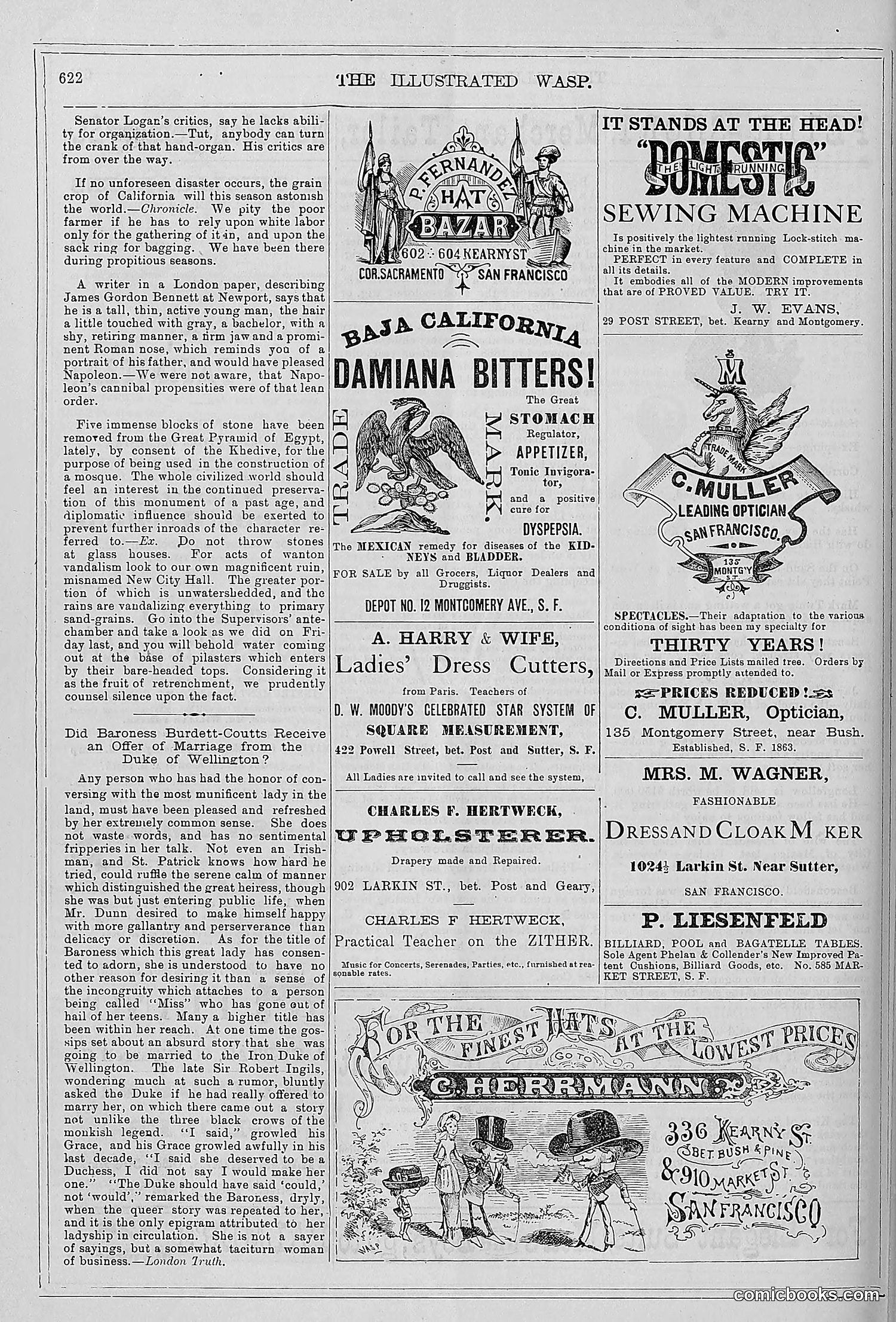 The Wasp — 1879 — page 601 of 846