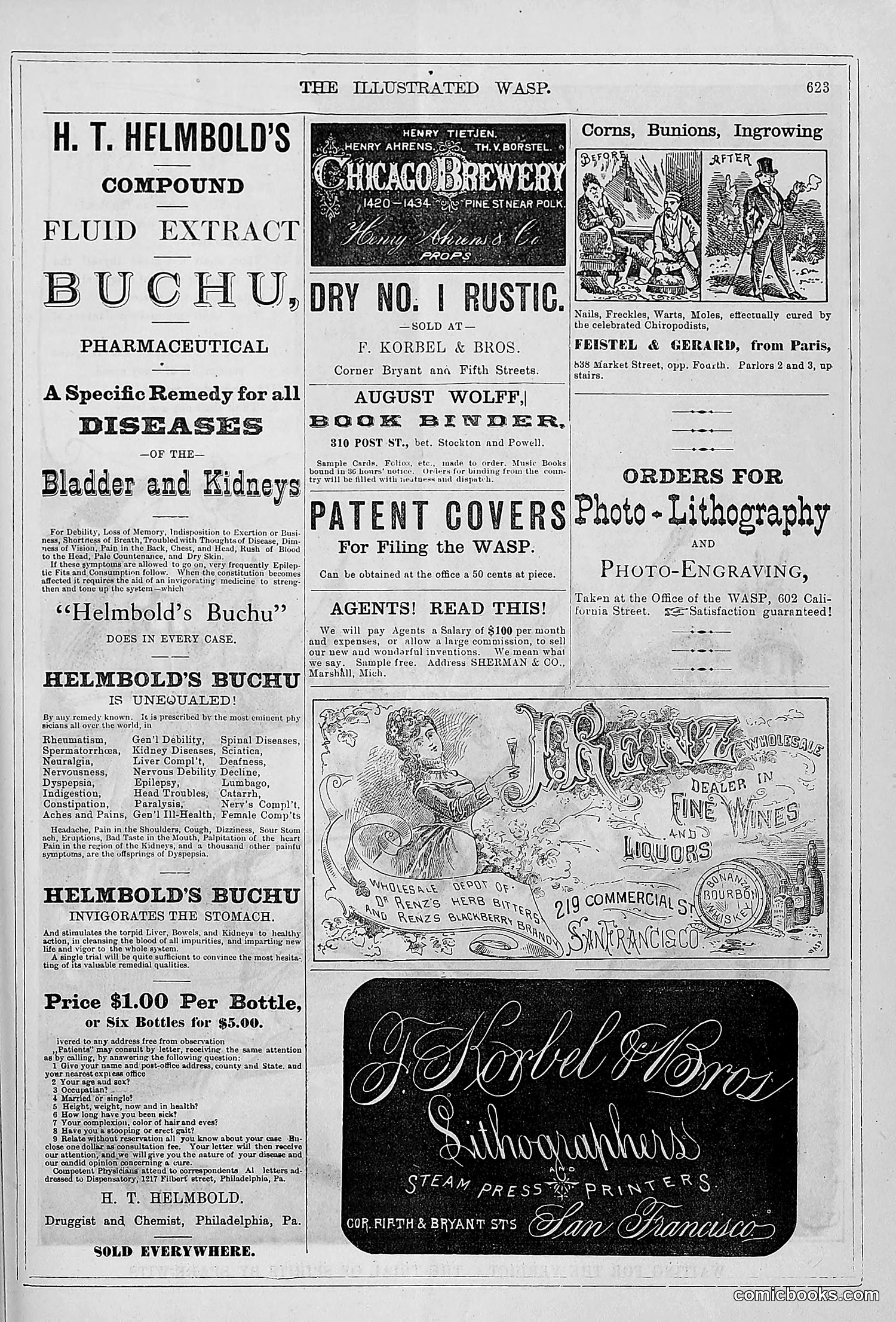 The Wasp — 1879 — page 602 of 846