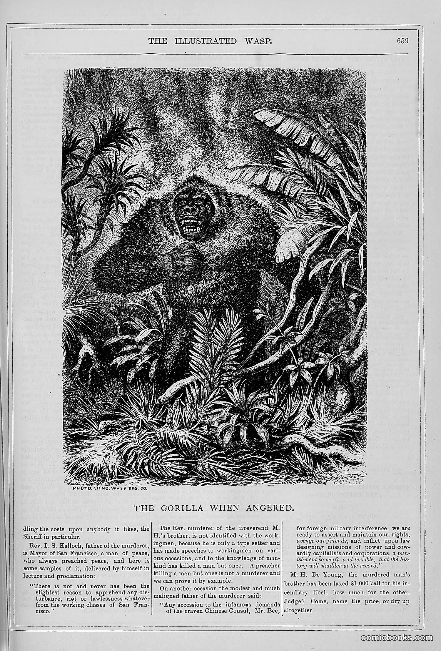 The Wasp — 1879 — page 638 of 846