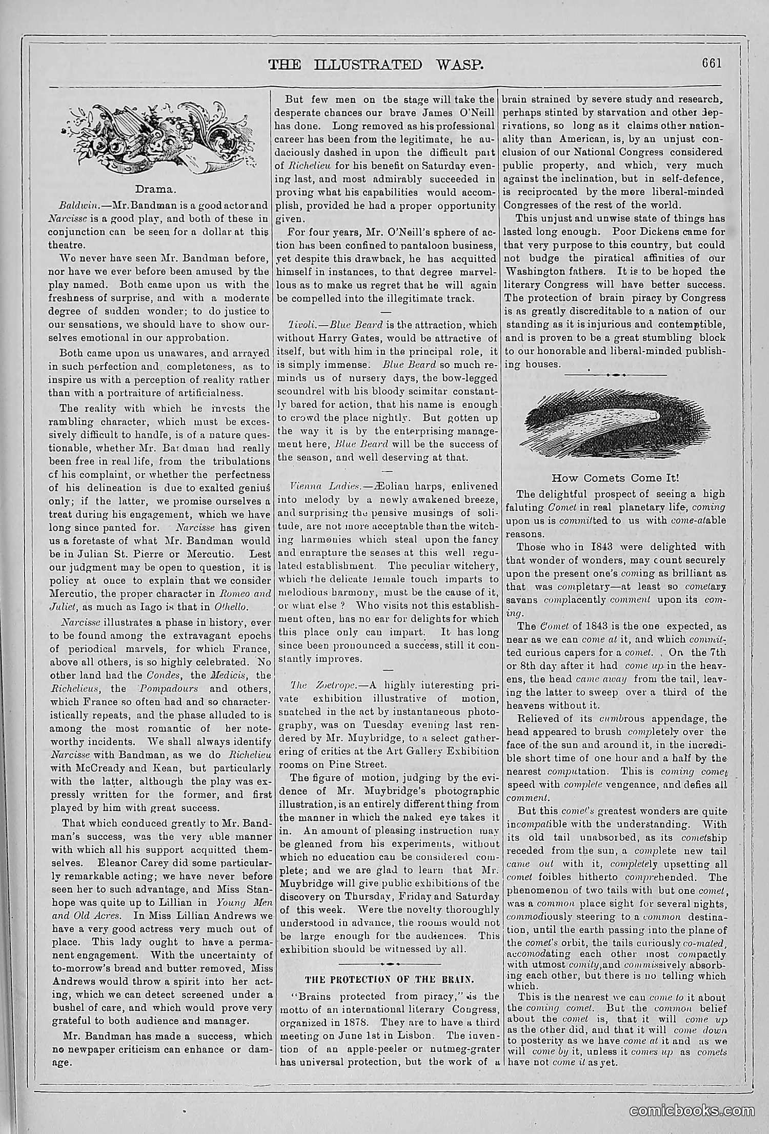 The Wasp — 1879 — page 640 of 846