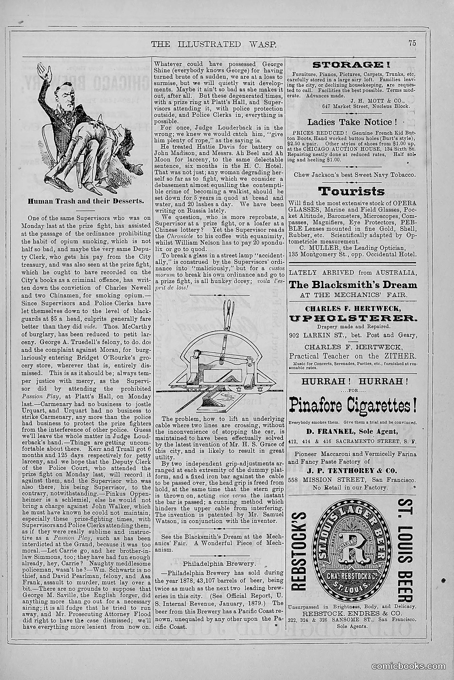 The Wasp — 1879 — page 68 of 846