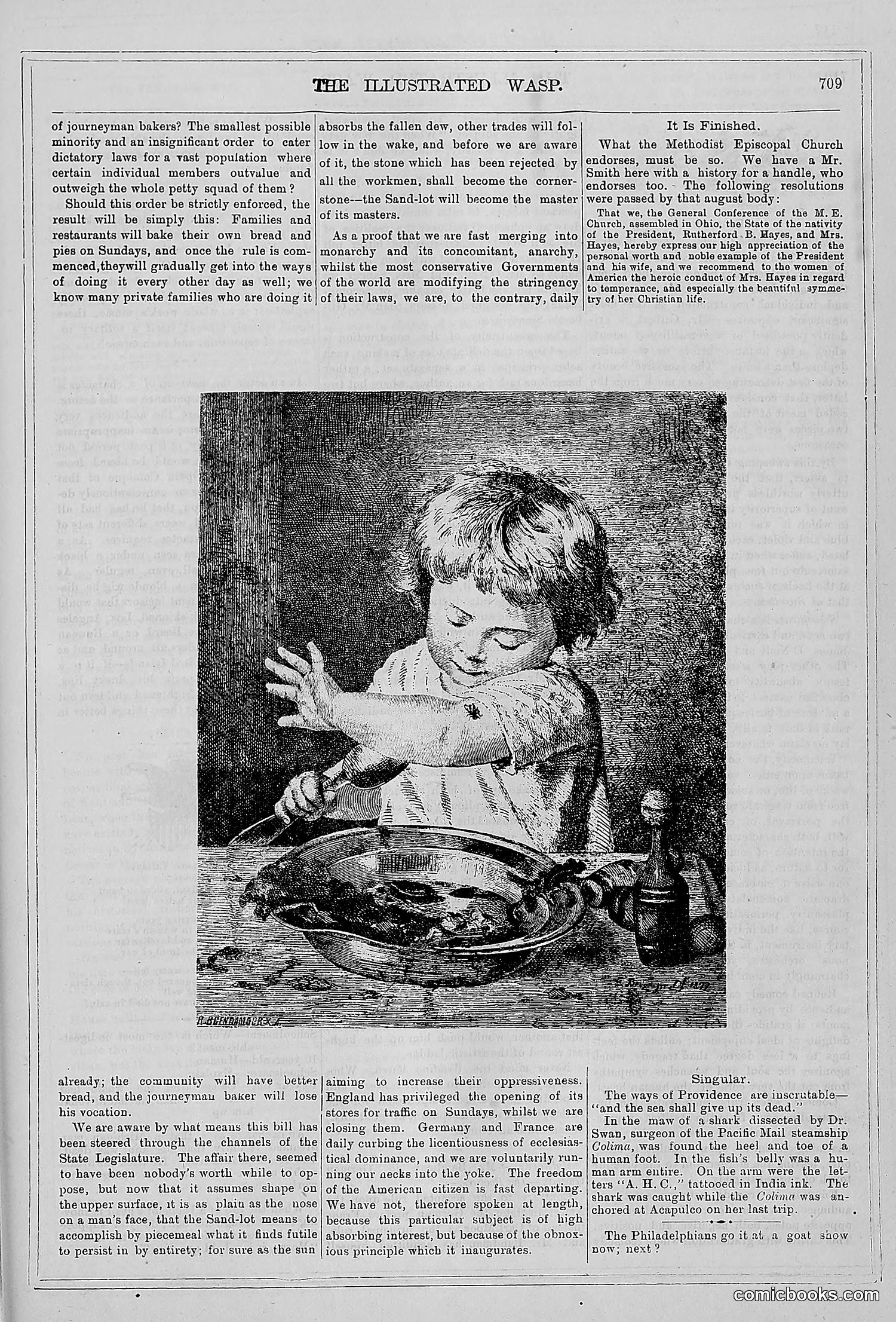 The Wasp — 1879 — page 688 of 846