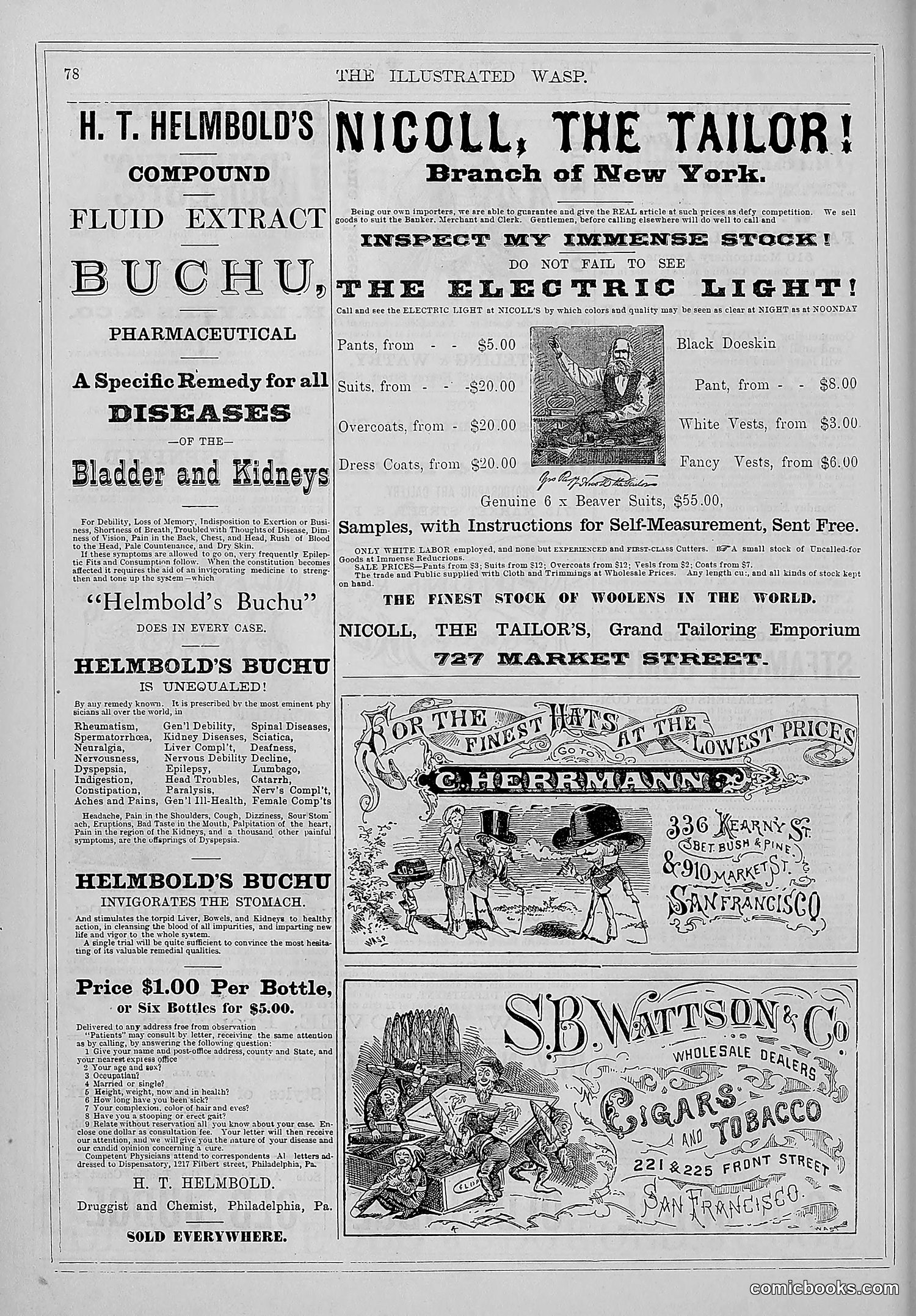 The Wasp — 1879 — page 71 of 846