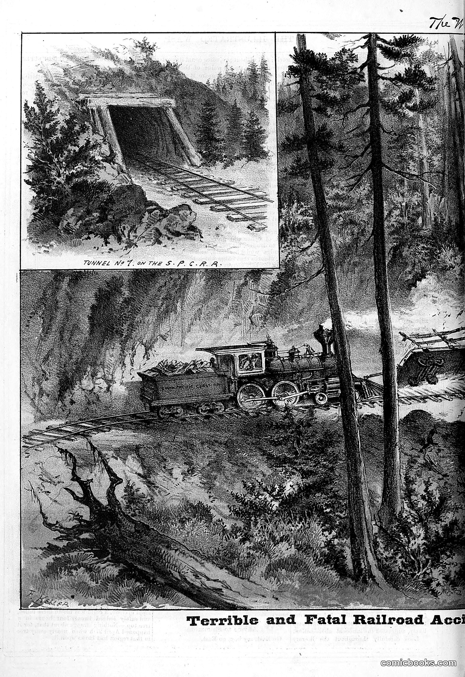 The Wasp — 1879 — page 707 of 846