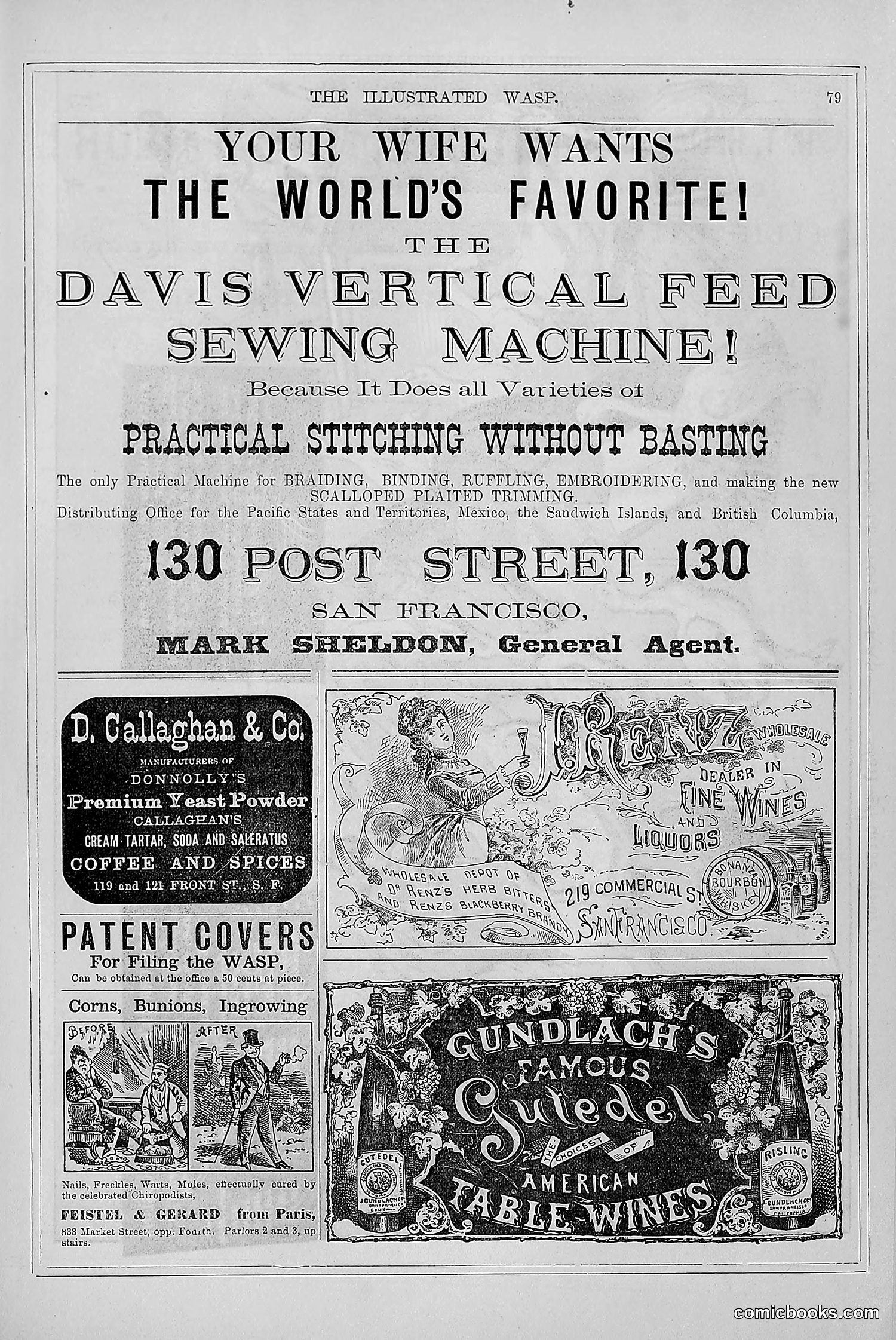 The Wasp — 1879 — page 72 of 846