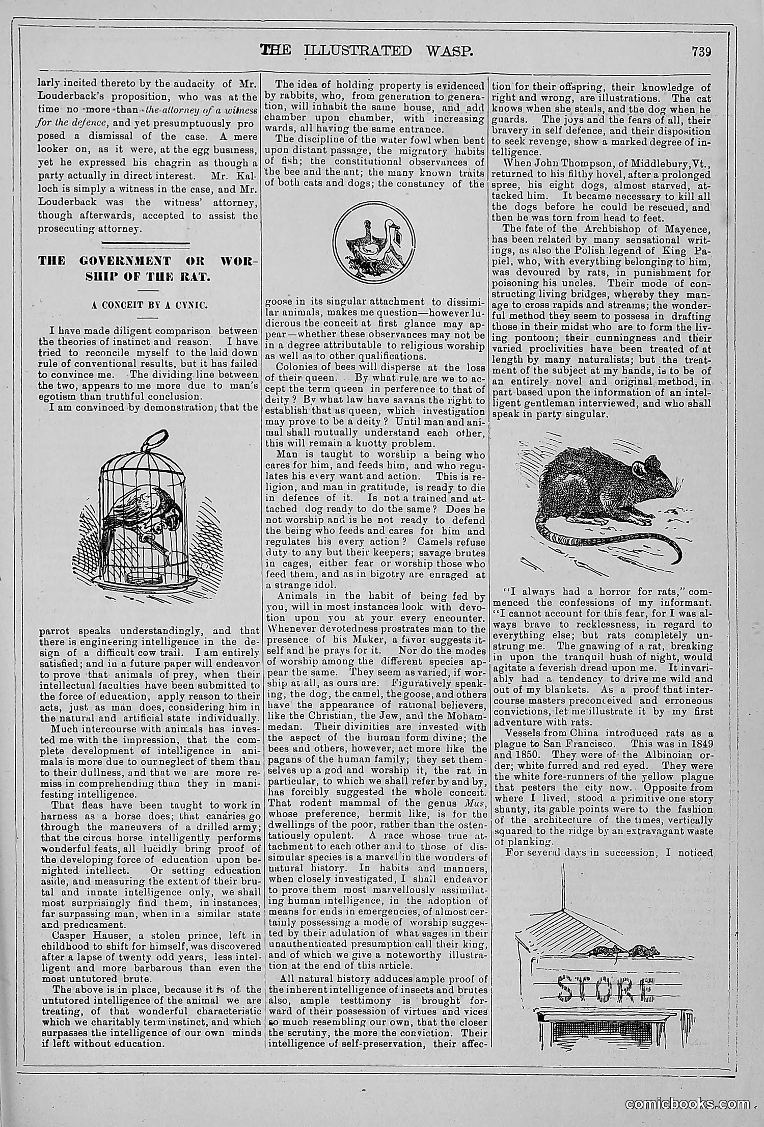 The Wasp — 1879 — page 720 of 846