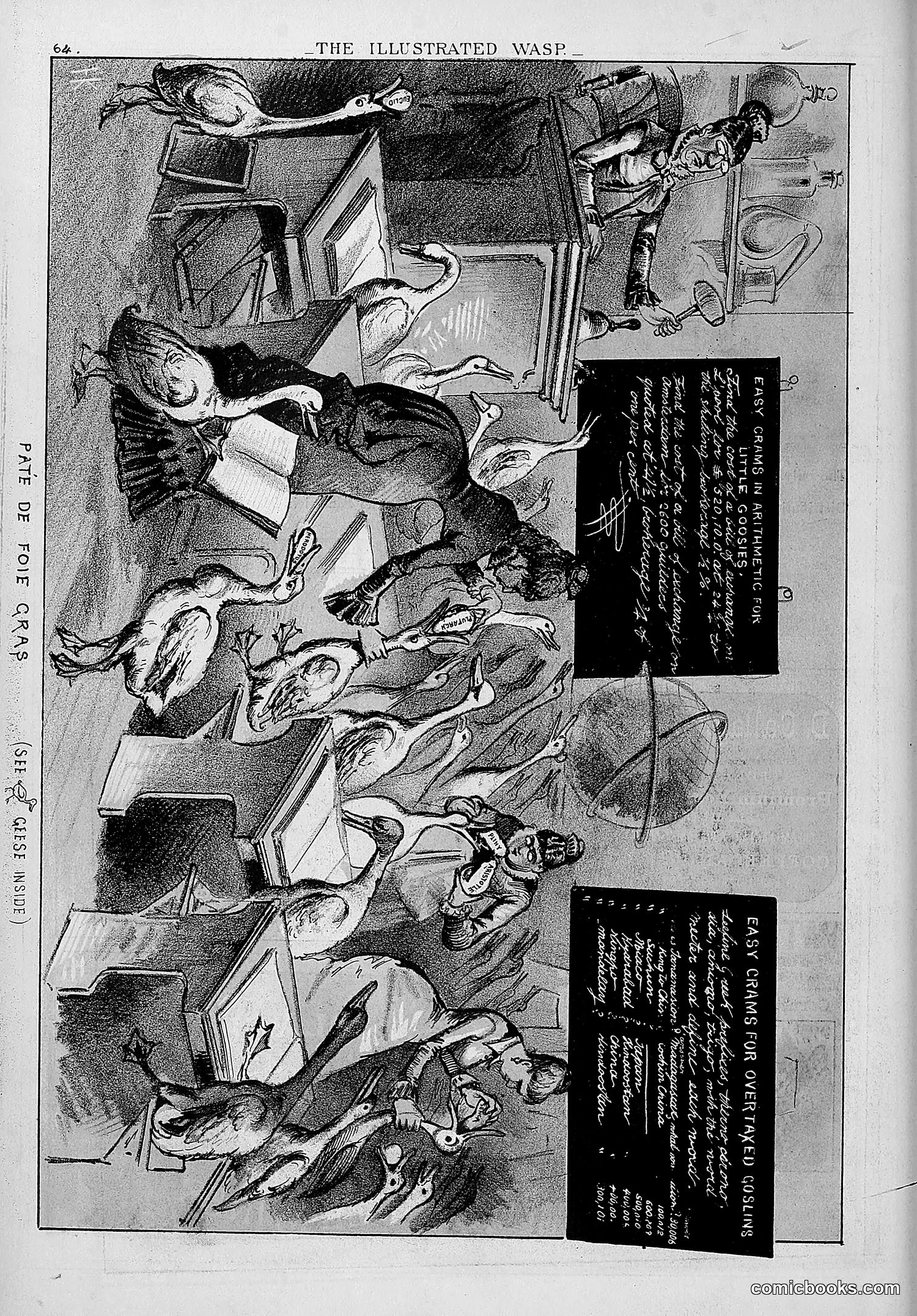The Wasp — 1879 — page 73 of 846