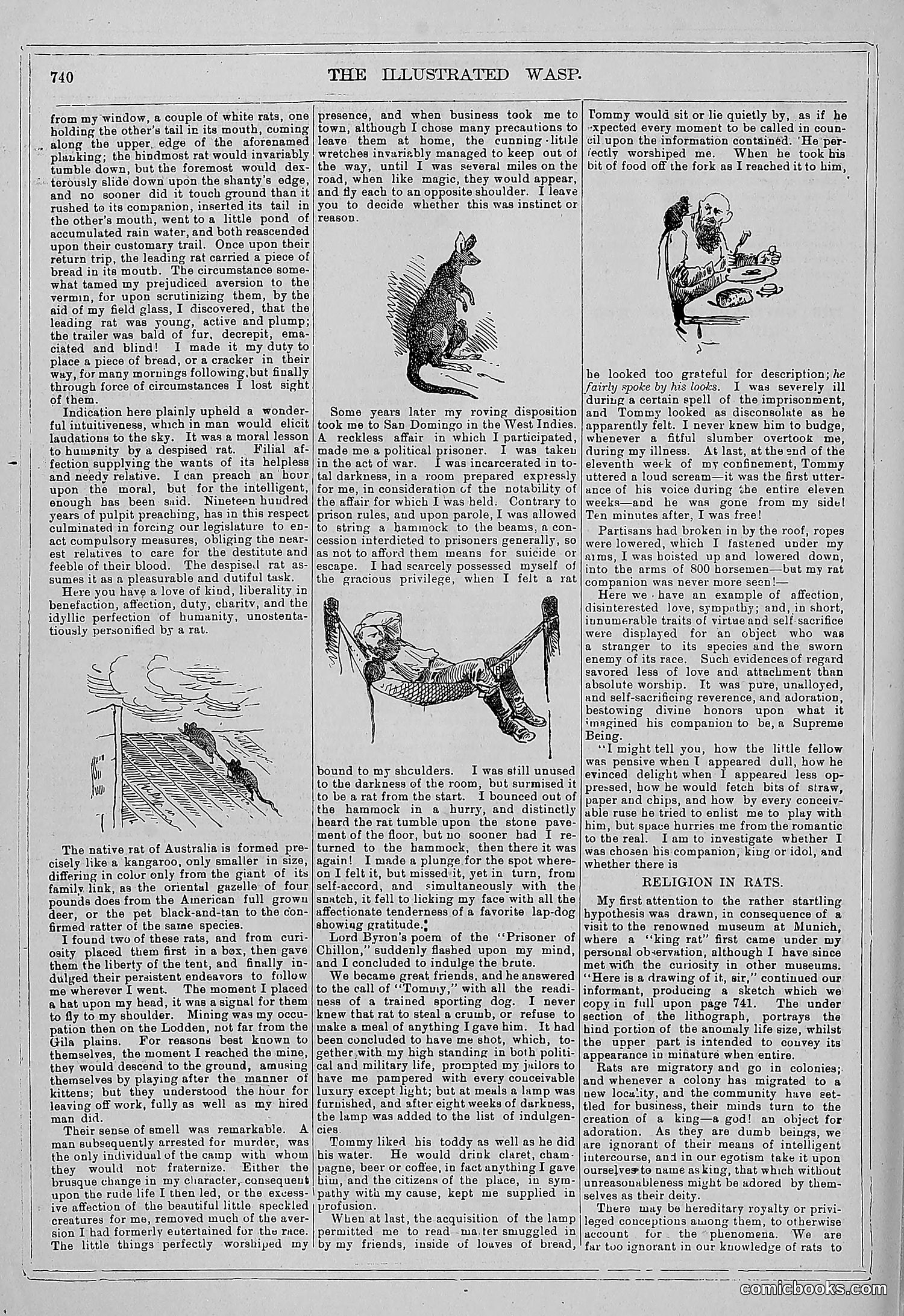 The Wasp — 1879 — page 721 of 846