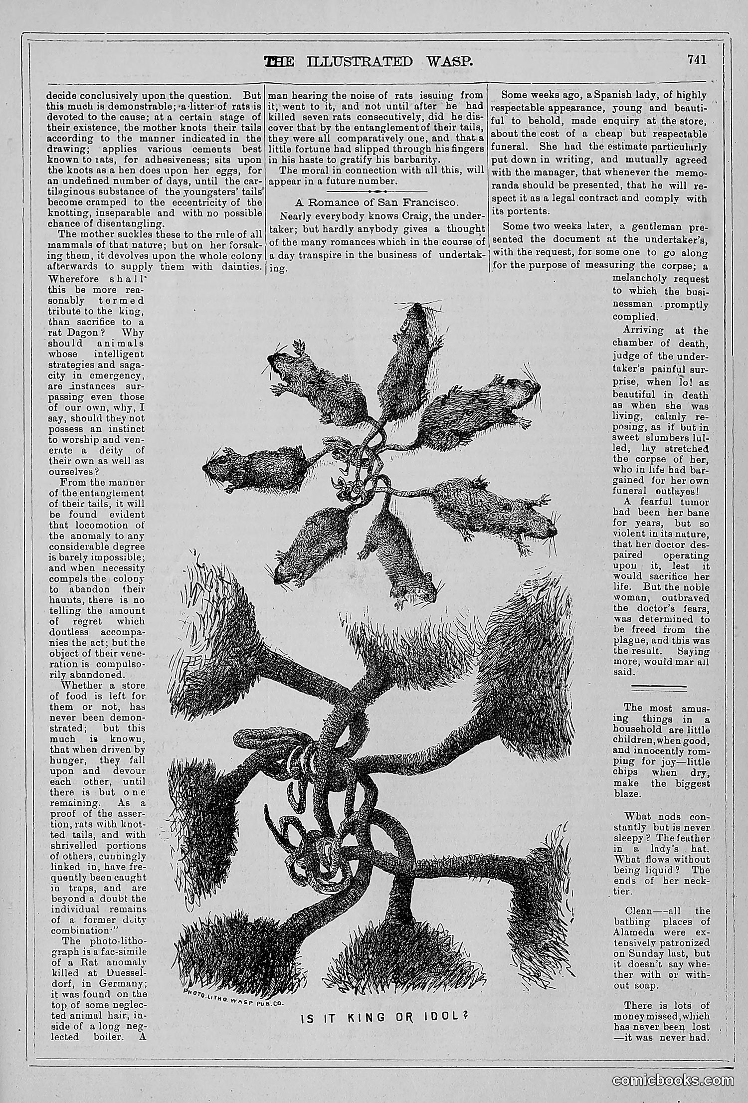 The Wasp — 1879 — page 722 of 846