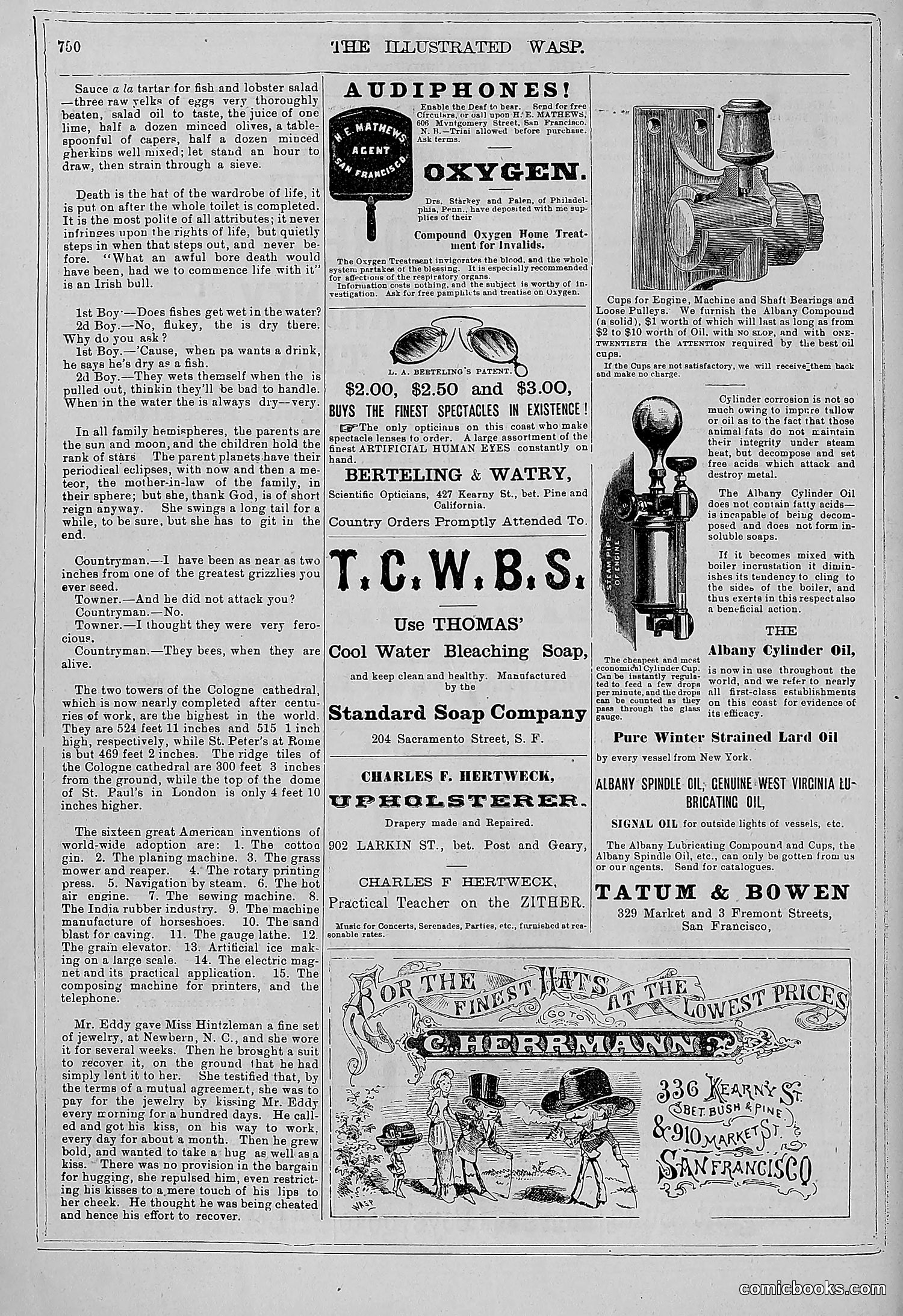 The Wasp — 1879 — page 731 of 846