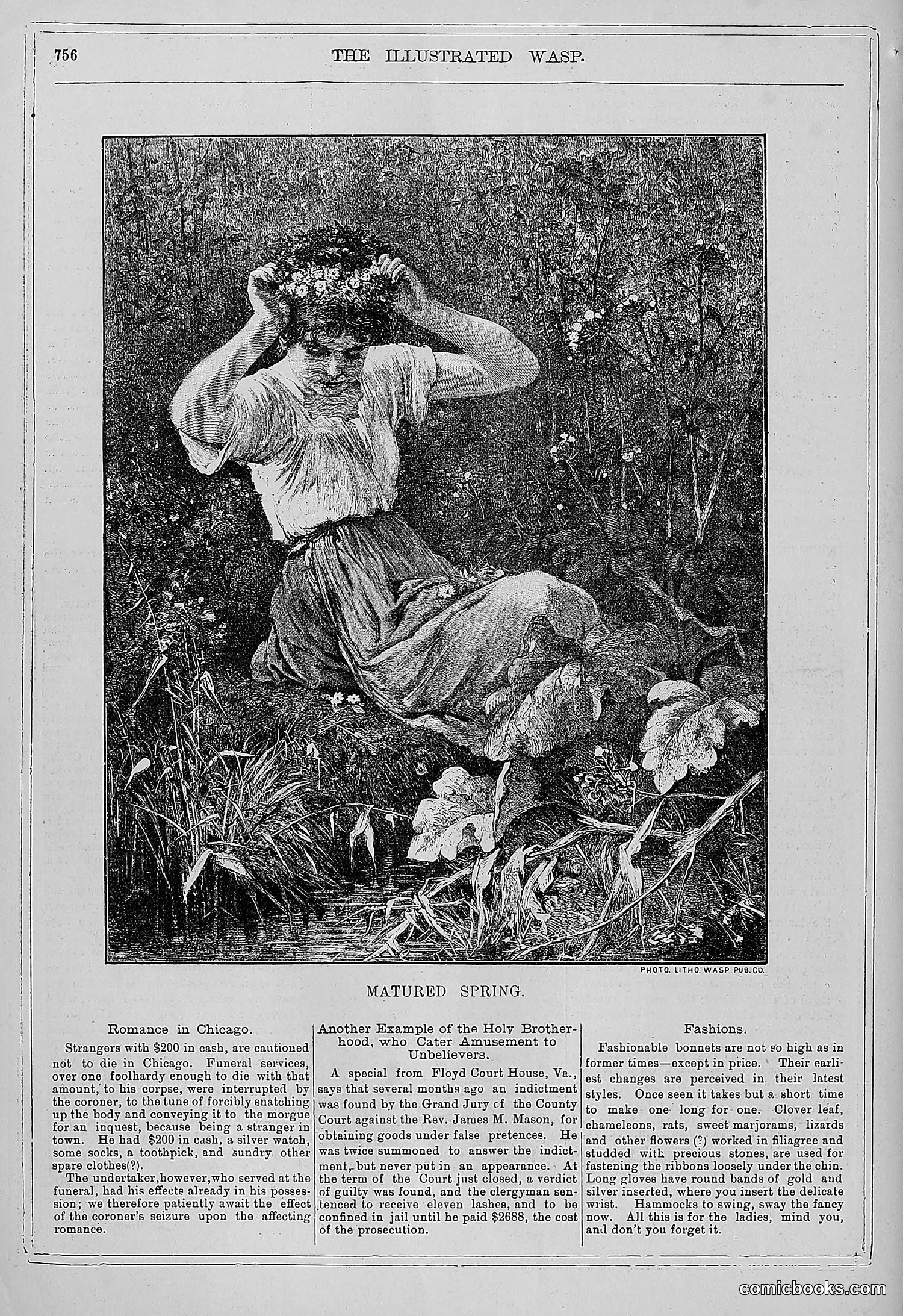 The Wasp — 1879 — page 737 of 846