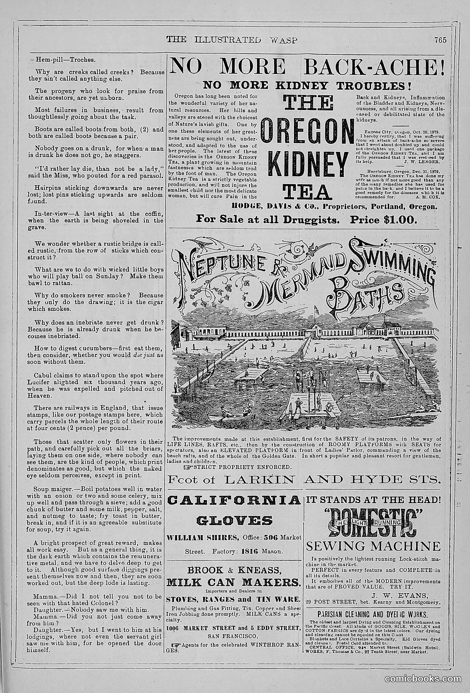 The Wasp — 1879 — page 746 of 846