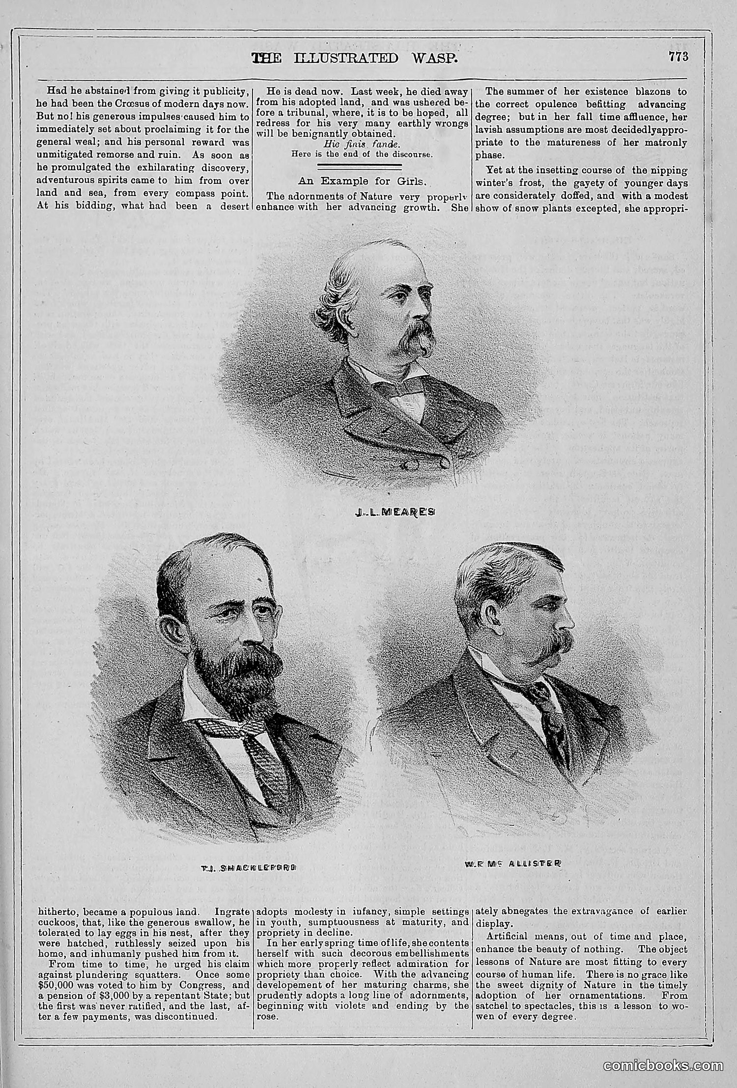 The Wasp — 1879 — page 754 of 846