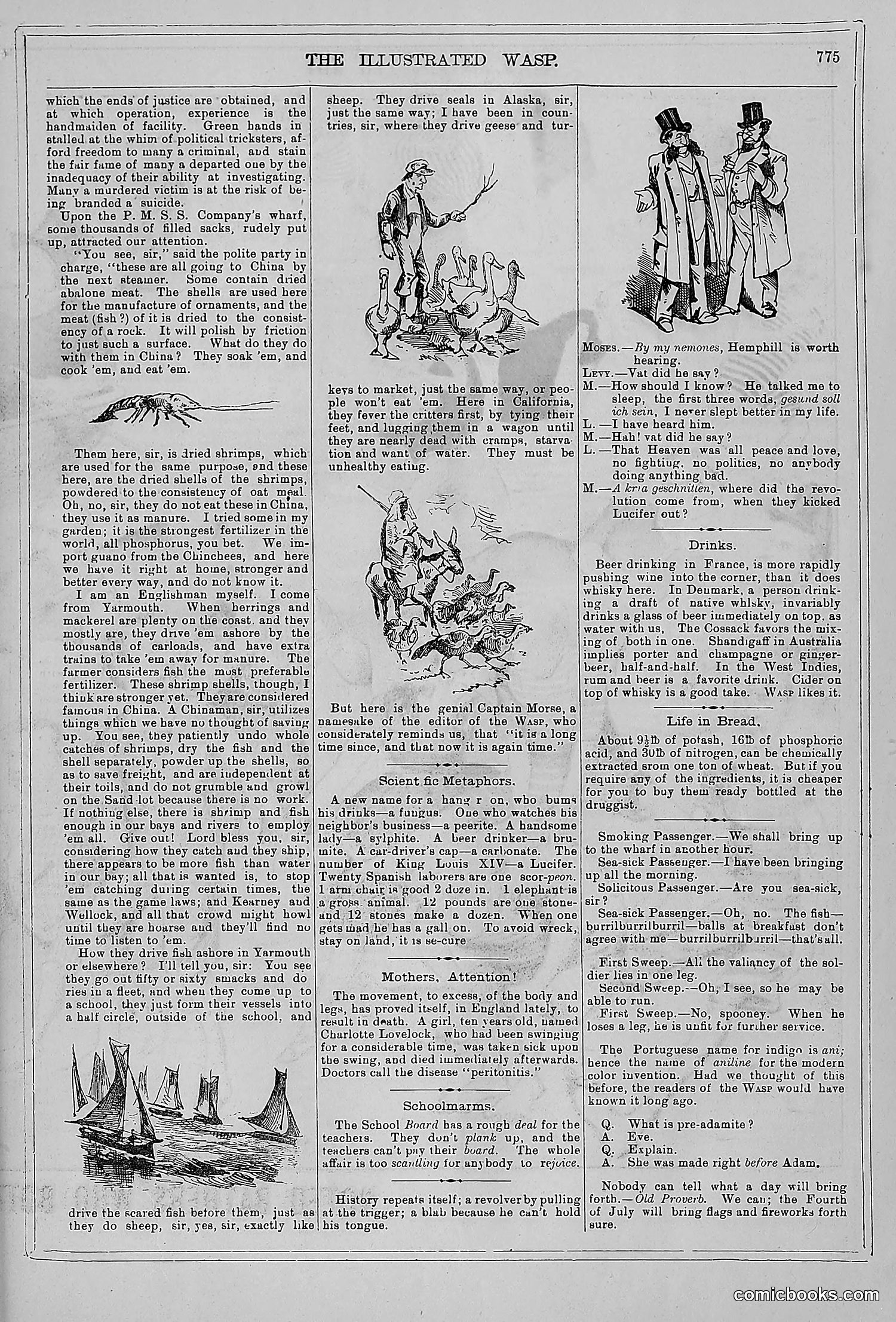 The Wasp — 1879 — page 756 of 846