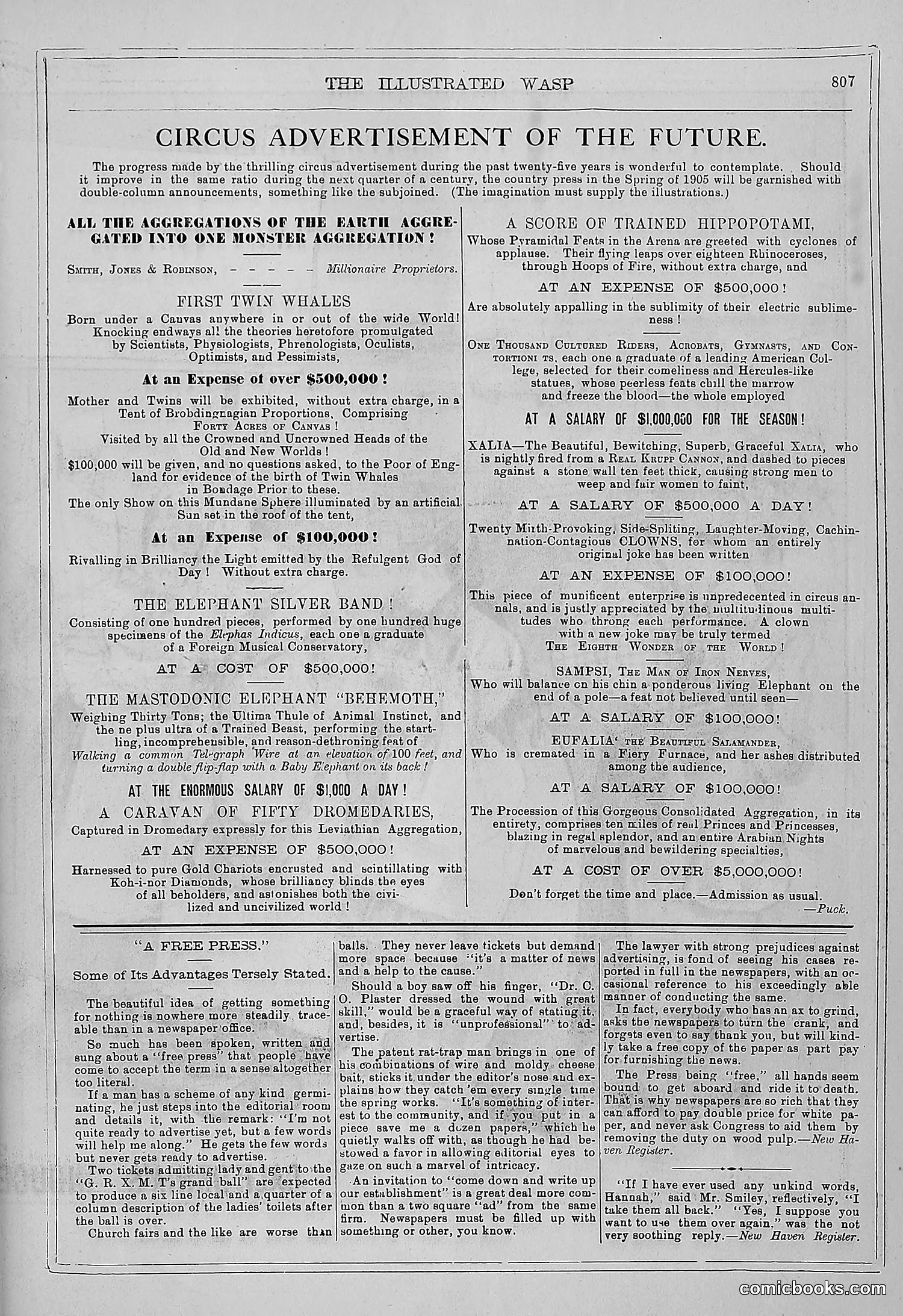 The Wasp — 1879 — page 788 of 846