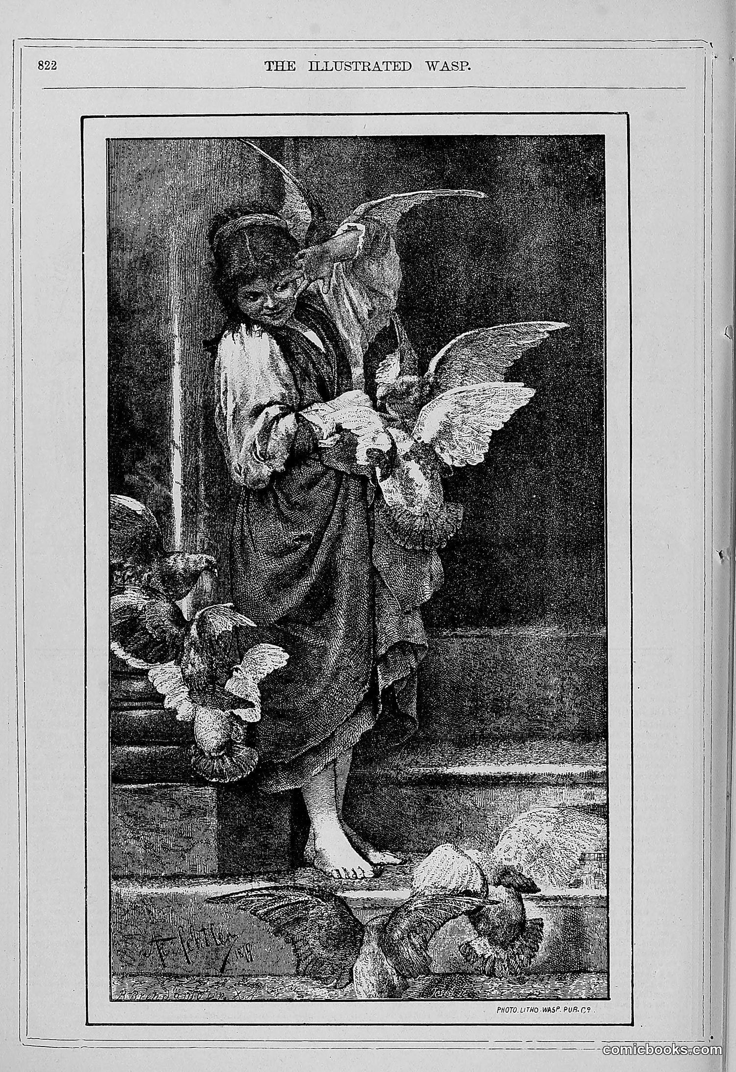The Wasp — 1879 — page 803 of 846