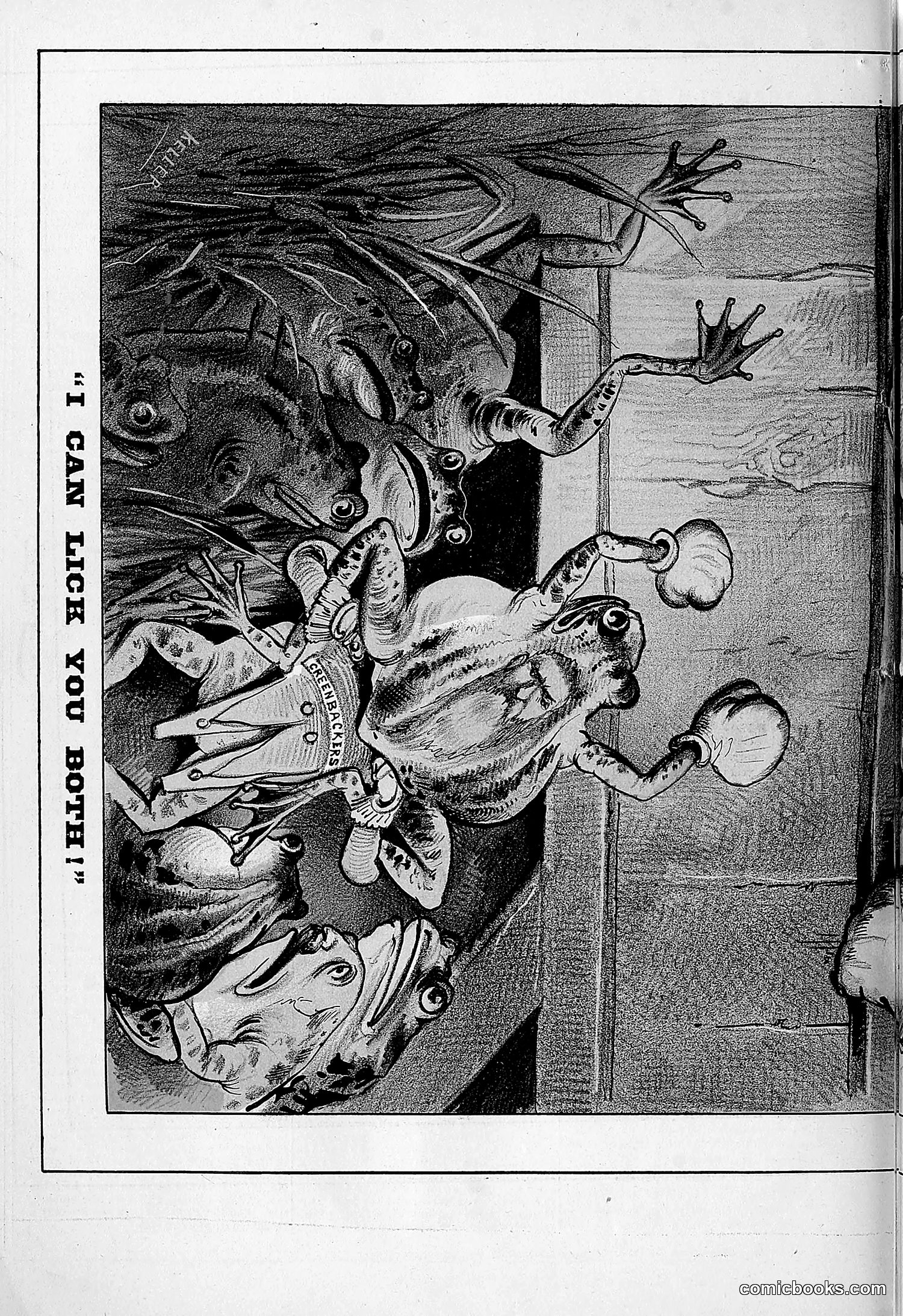 The Wasp — 1879 — page 805 of 846