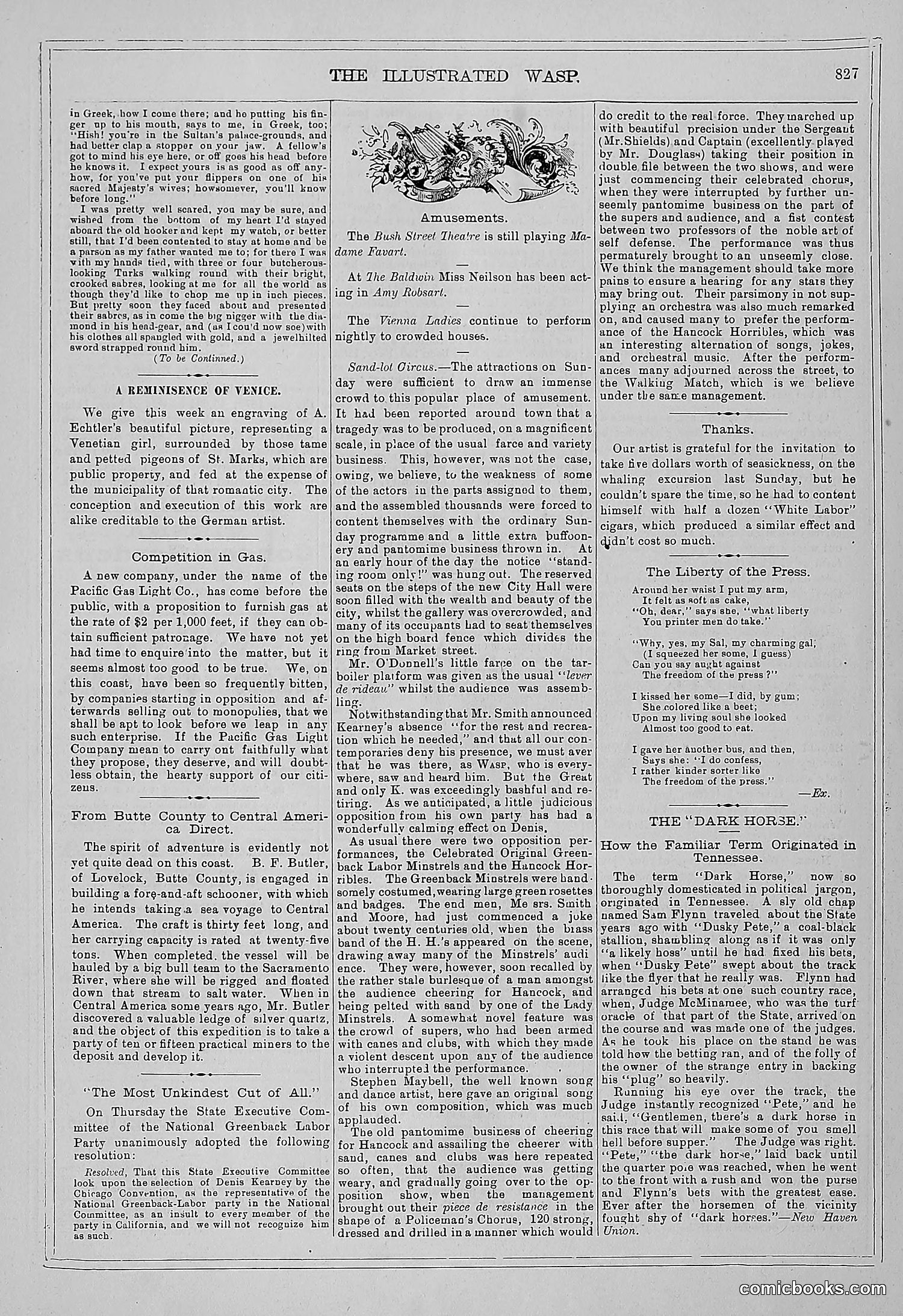 The Wasp — 1879 — page 808 of 846