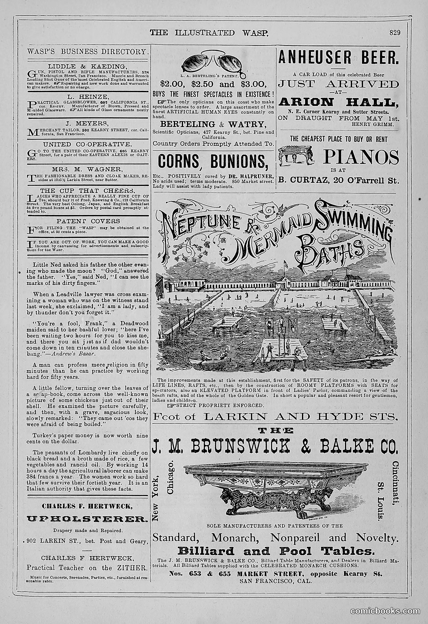 The Wasp — 1879 — page 810 of 846